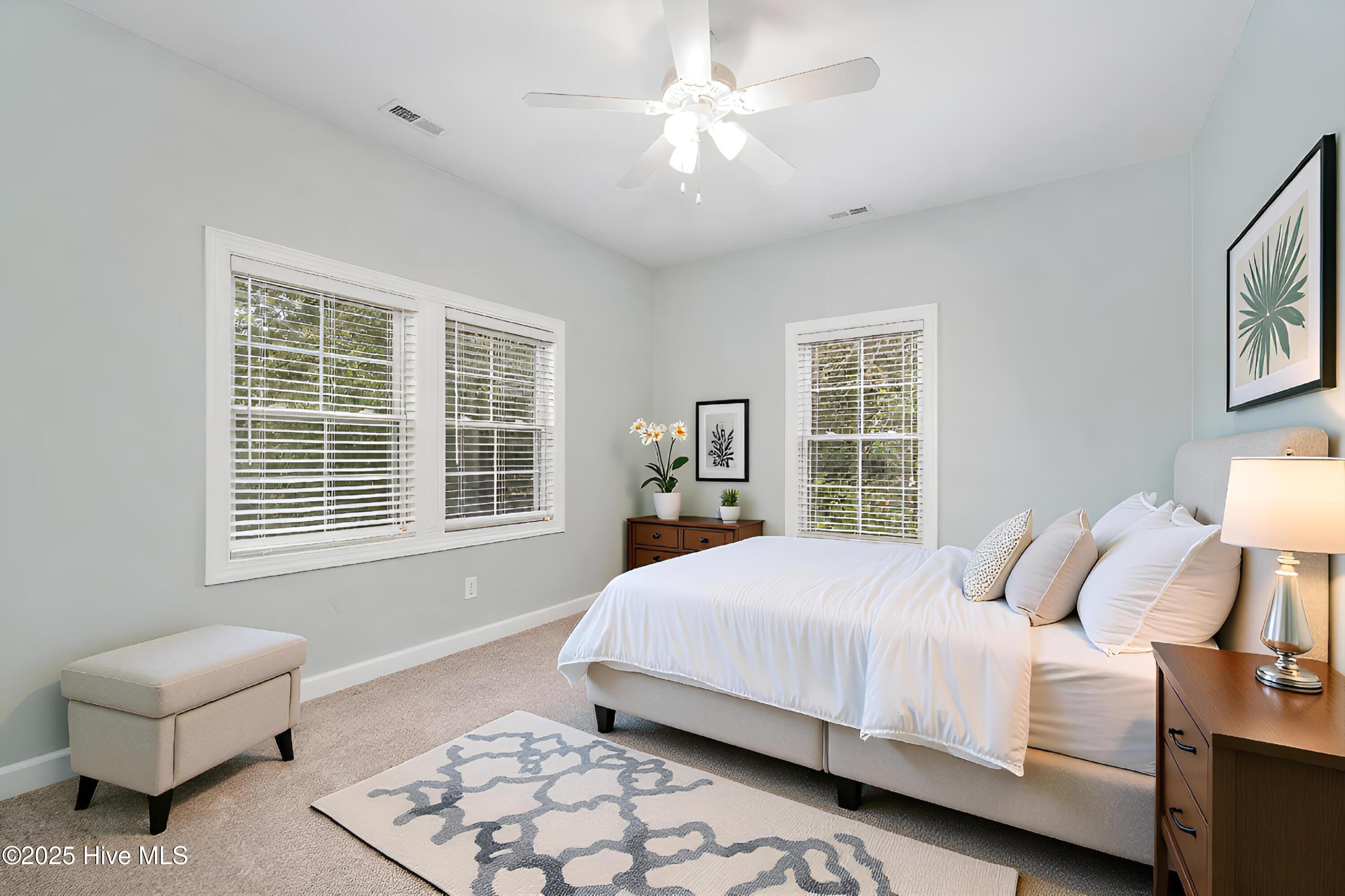 100536264 | Photo 23