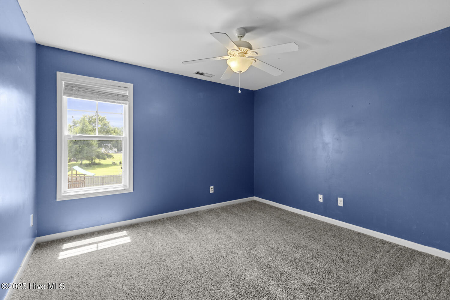 100506336 | Photo 26