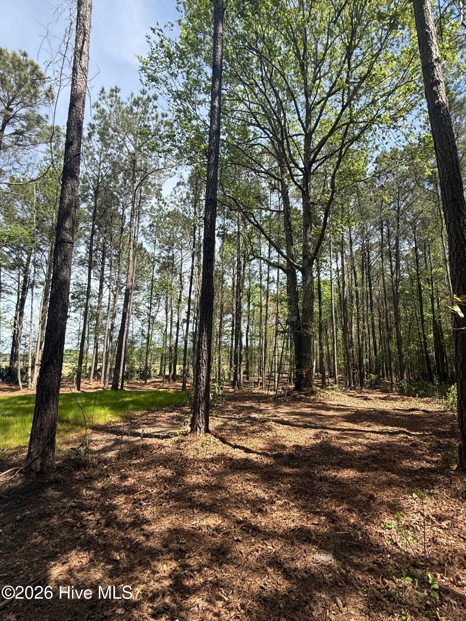 100567047 | Photo 45