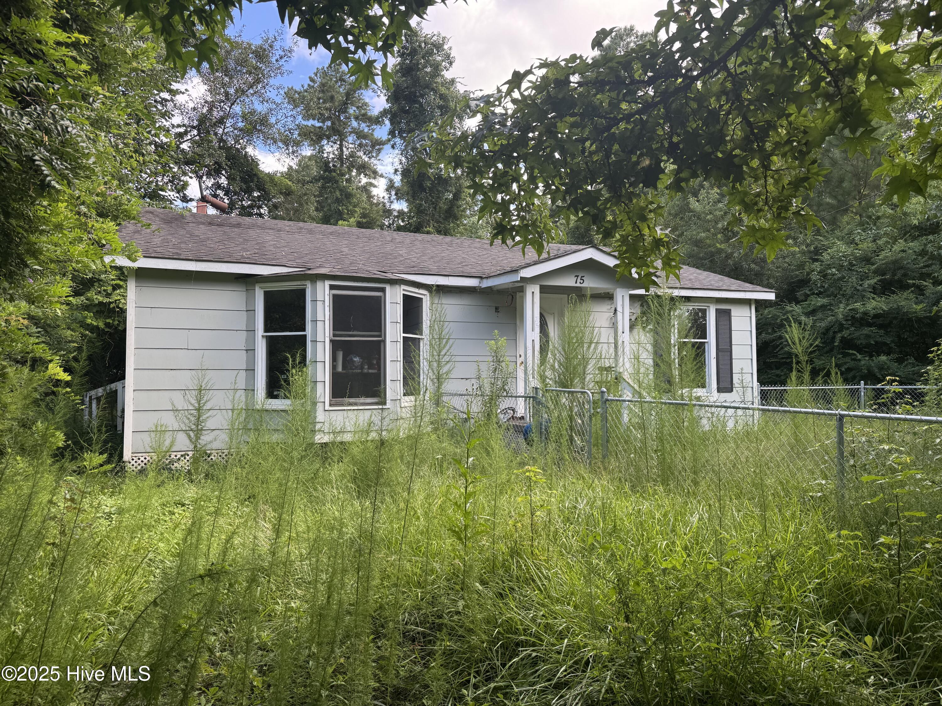 100534735 | Photo 15