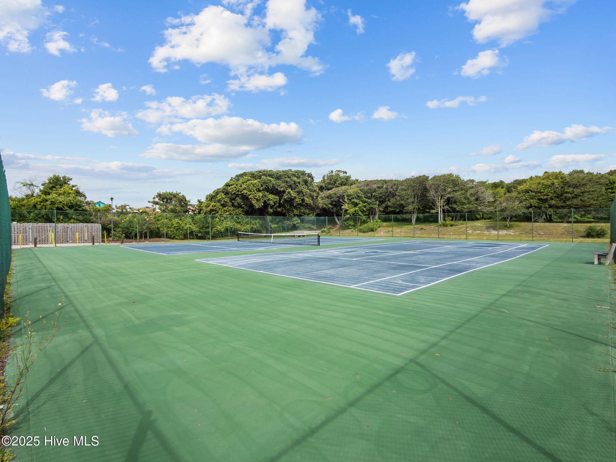 100520425 | Photo 59