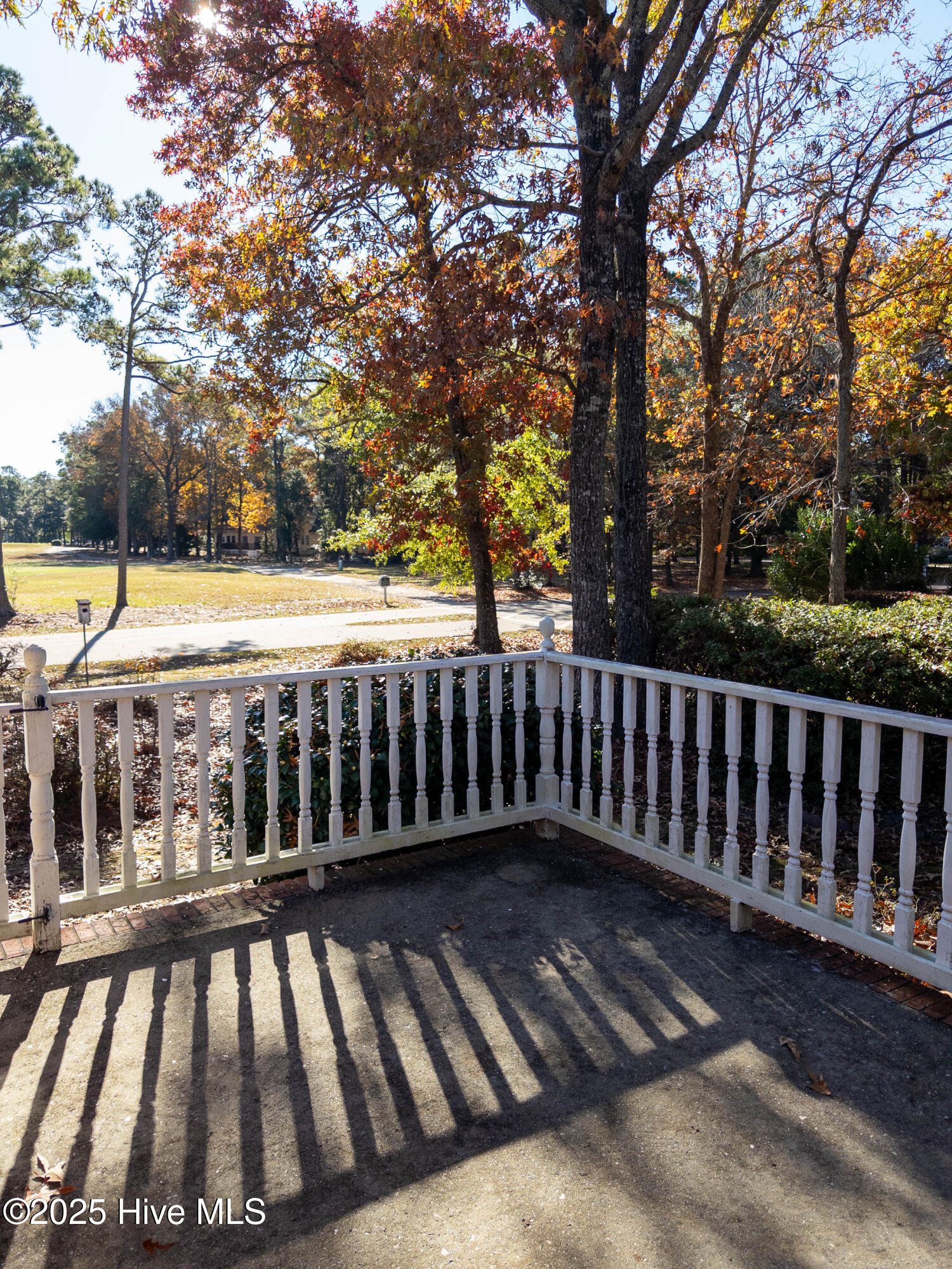 100543941 | Photo 64