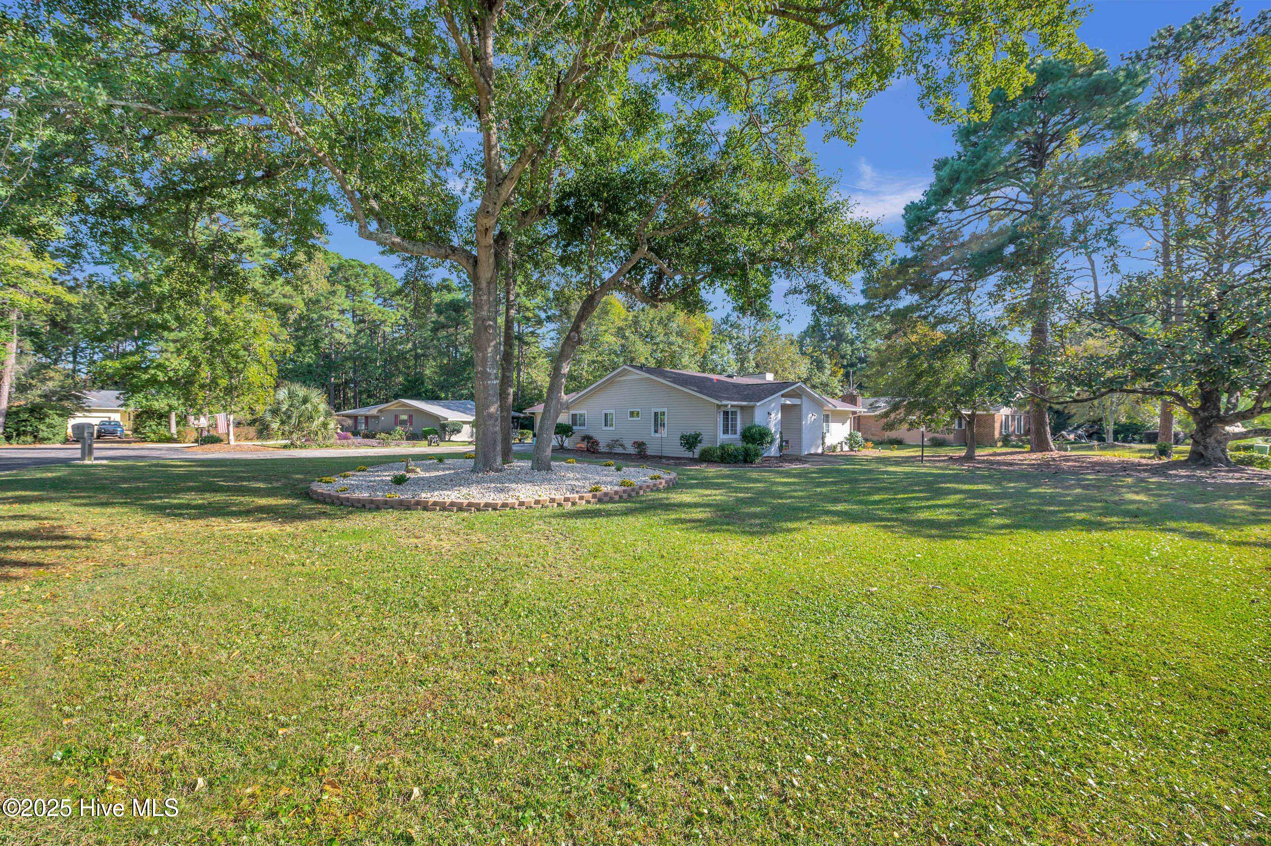 100538752 | Photo 29