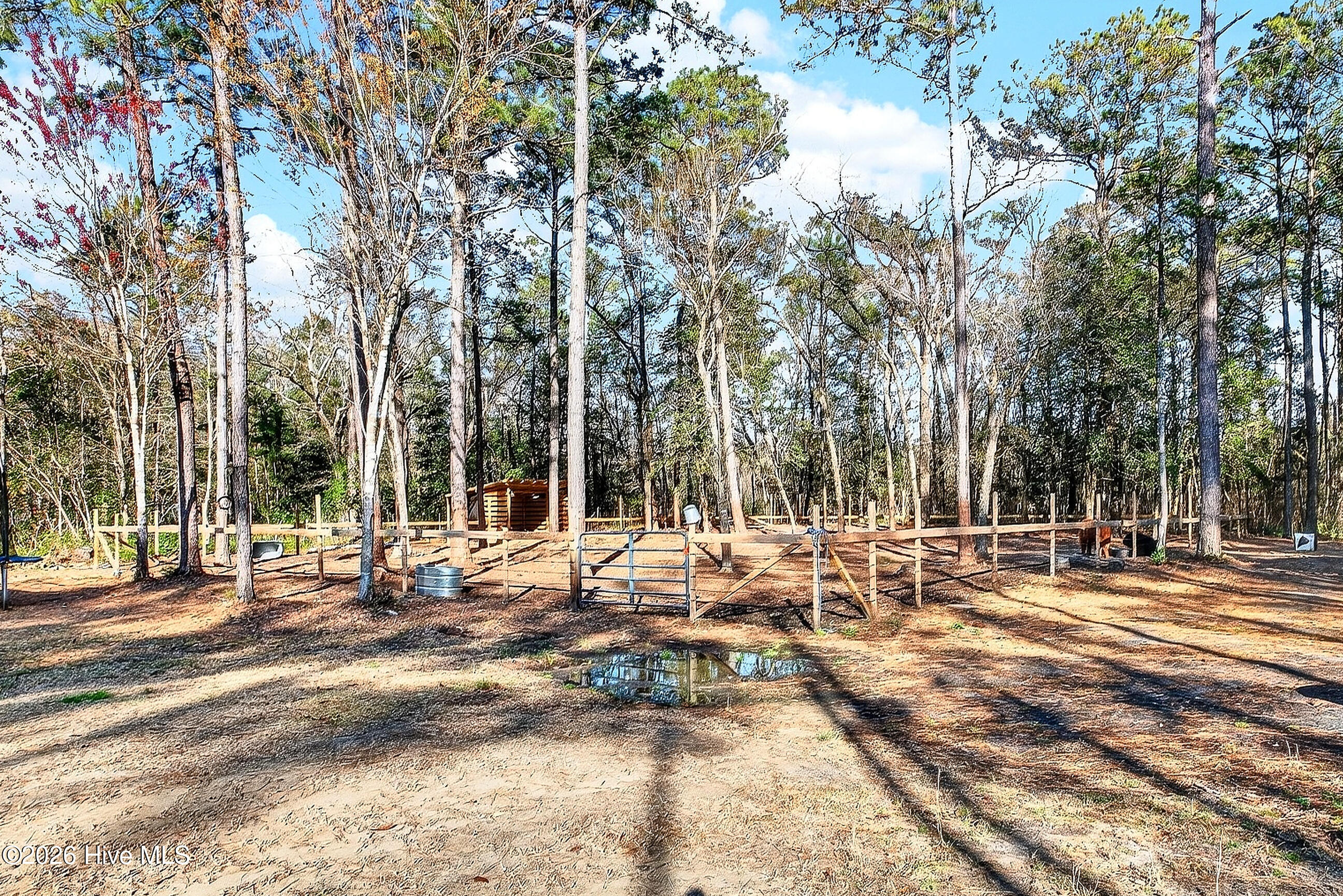 100559126 | Photo 36