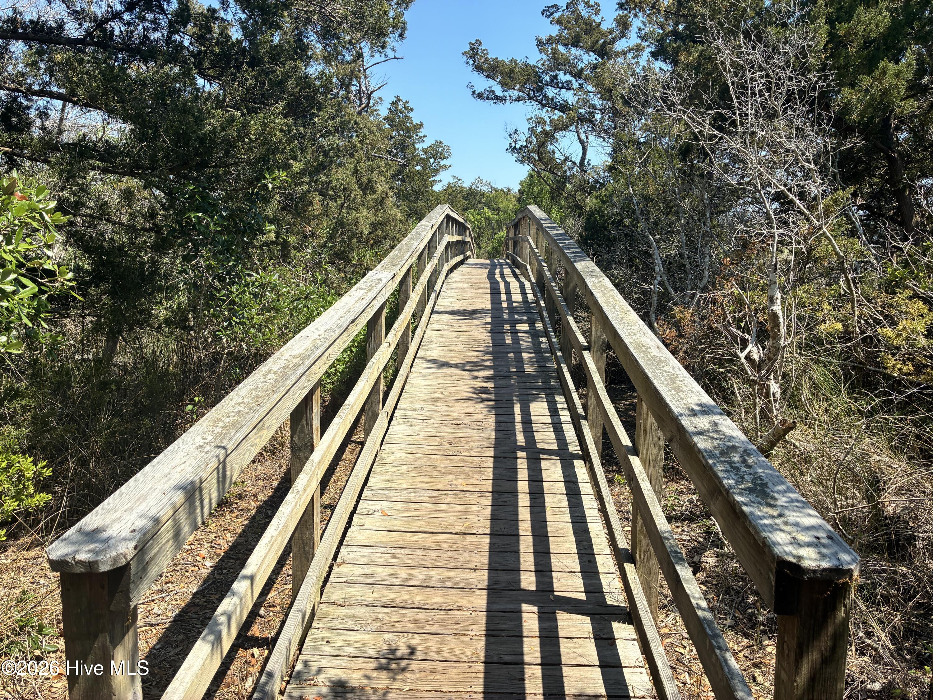 100569649 | Photo 48