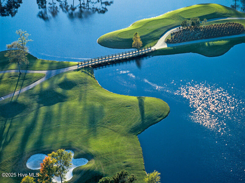 4.BigCatsGolfCourse.ORP