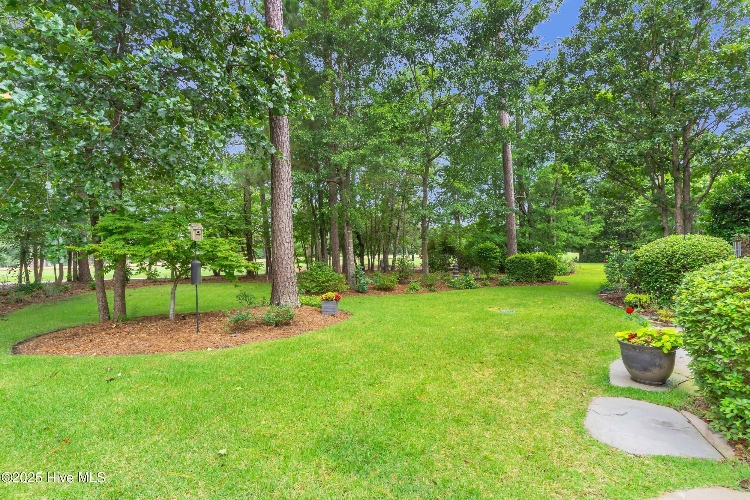 100548095 | Photo 50