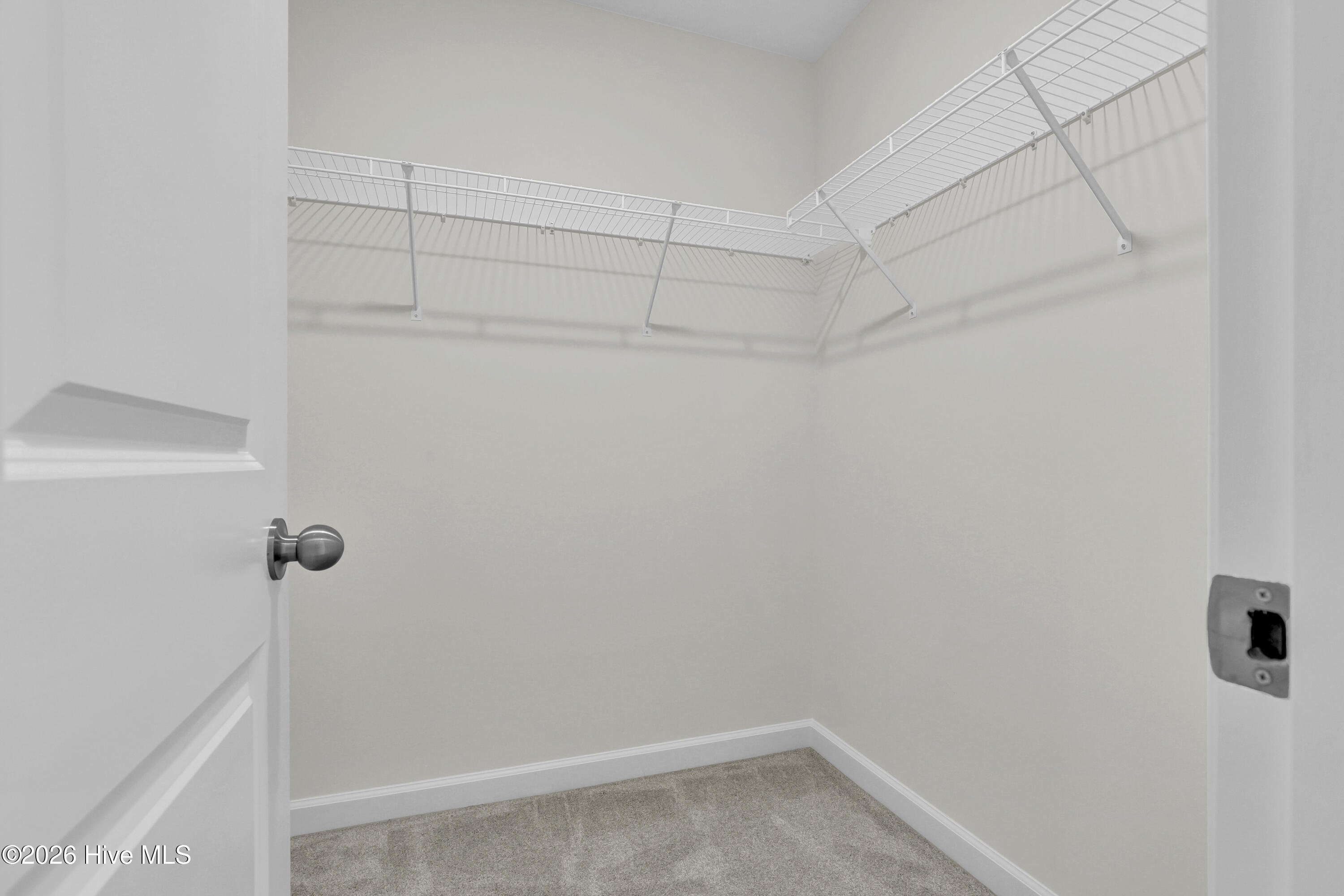 100488784 | Photo 28