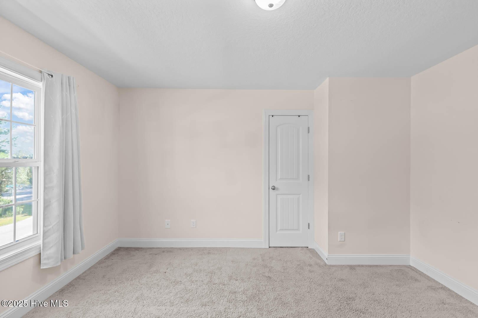 100520139 | Photo 15