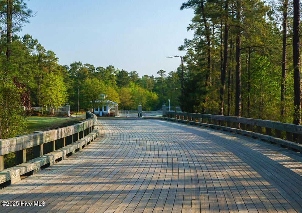 100527117 | Photo 61