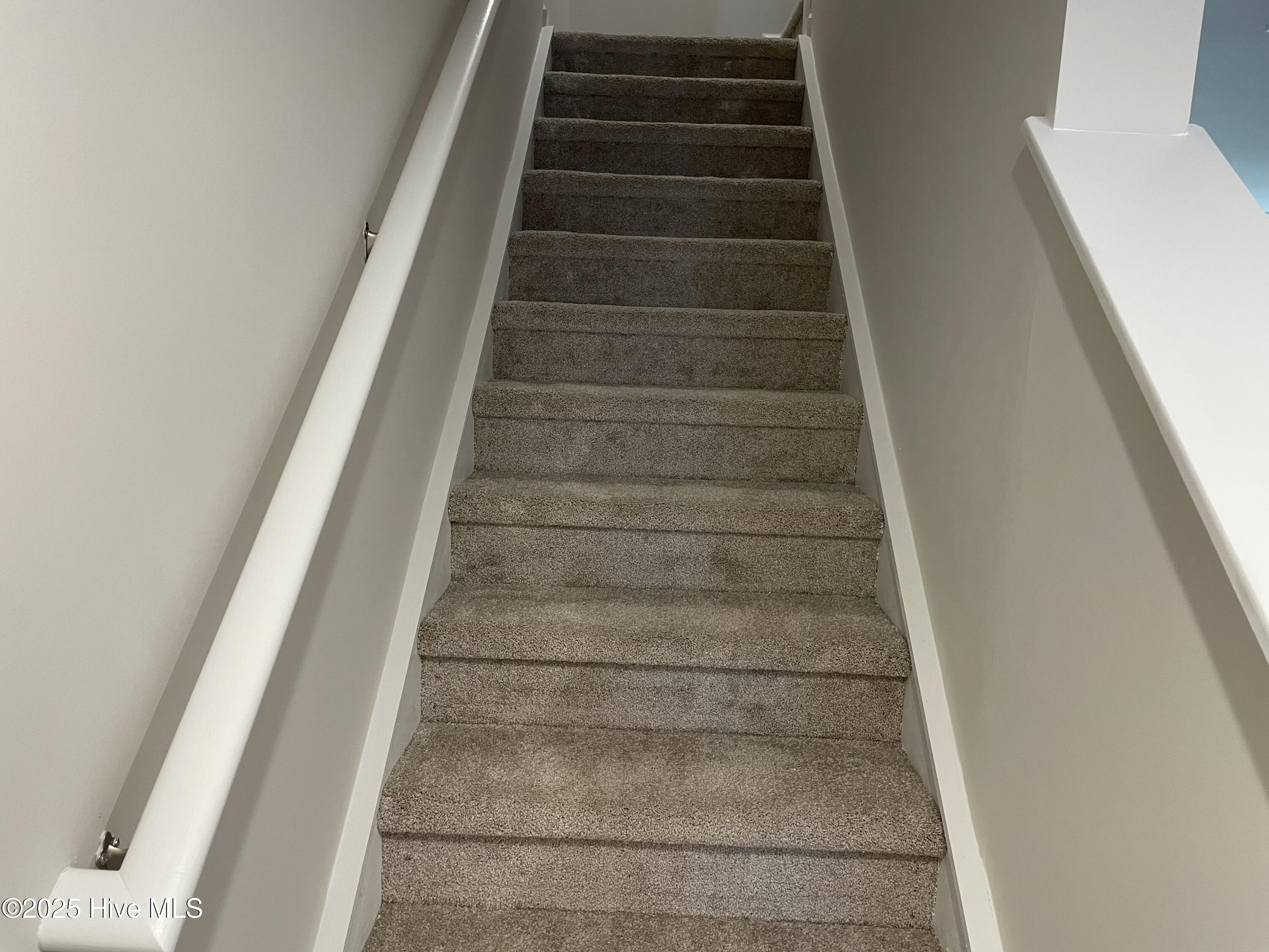 100536025 | Photo 10