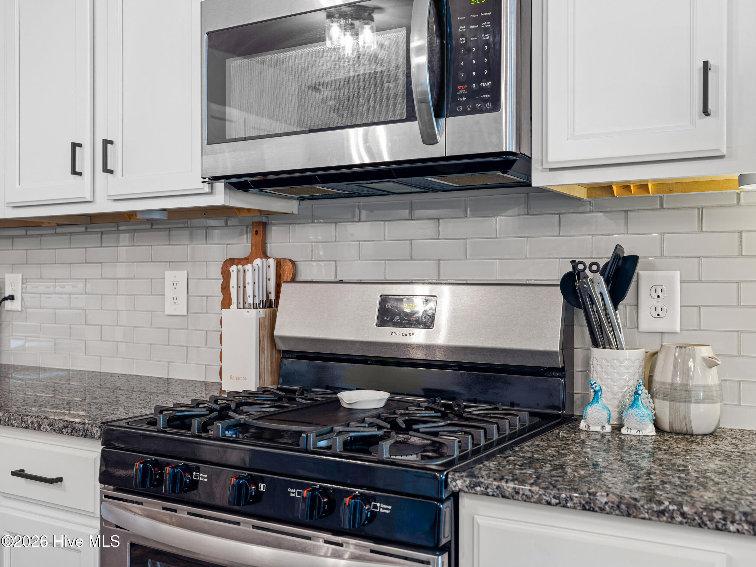 100565919 | Photo 20