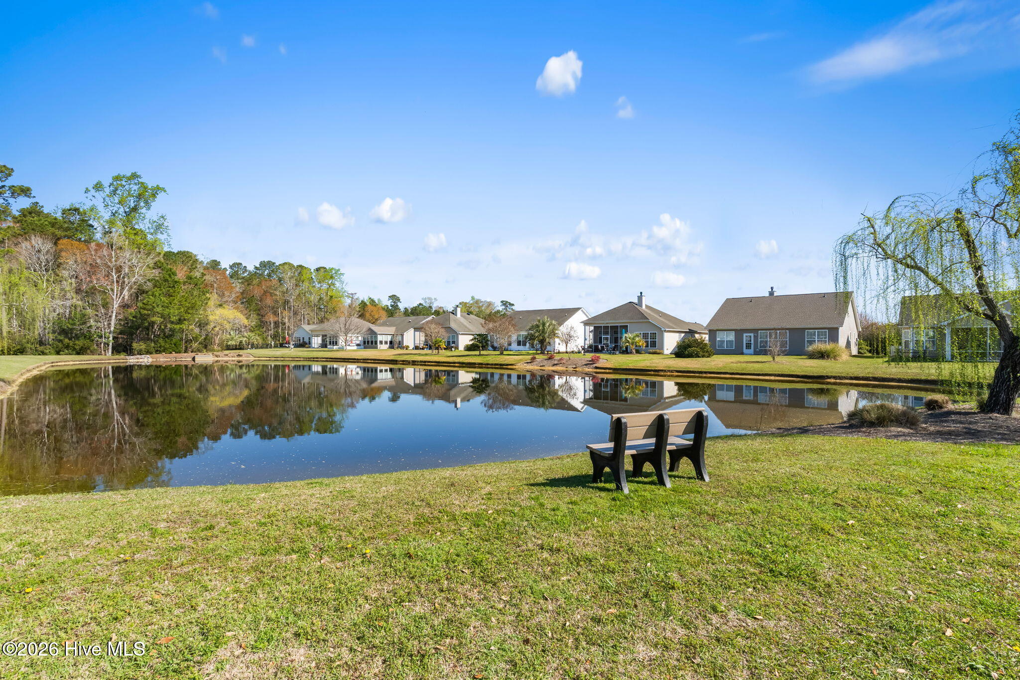 100562407 | Photo 25