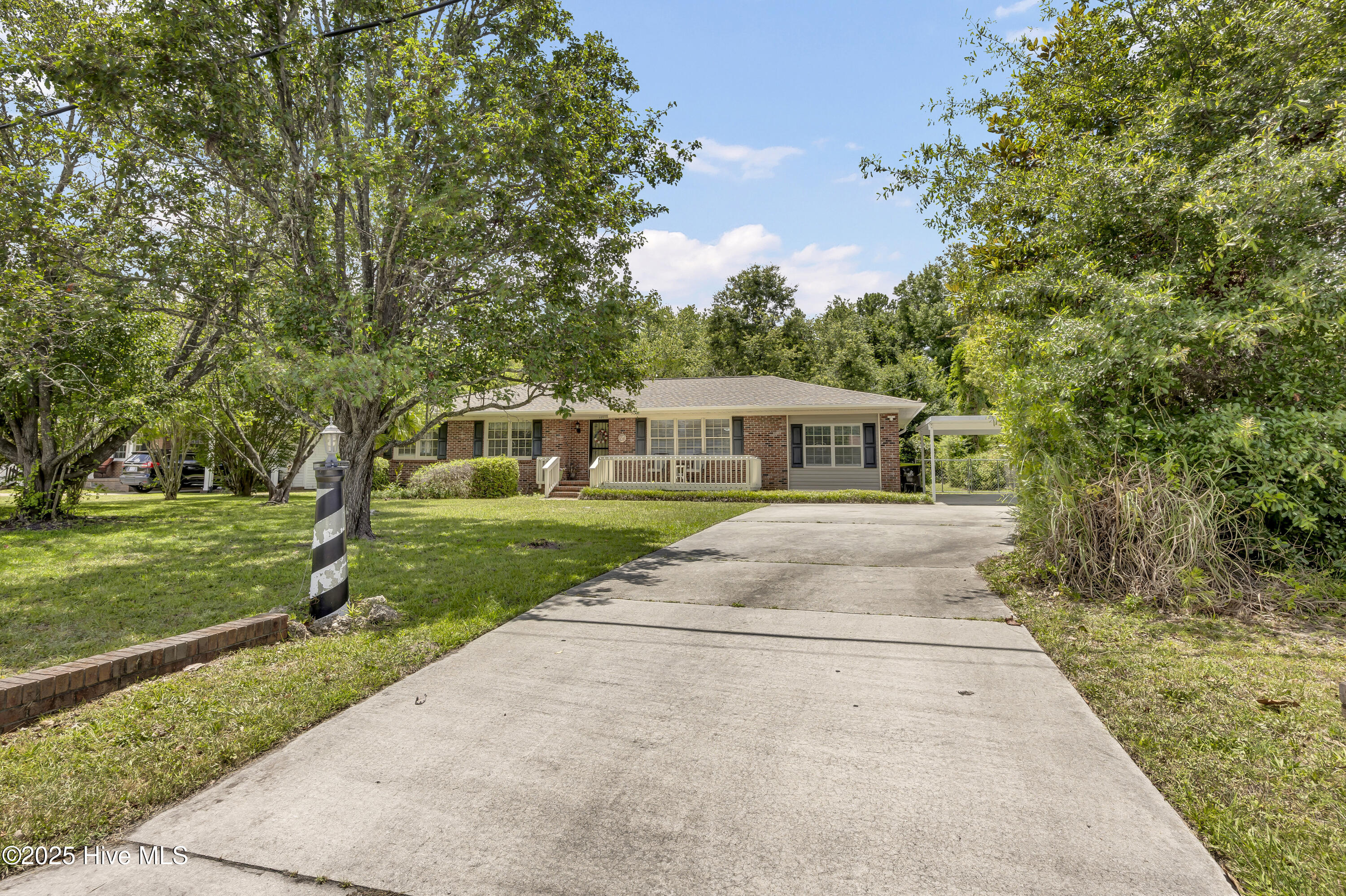 100517118 | Photo 32