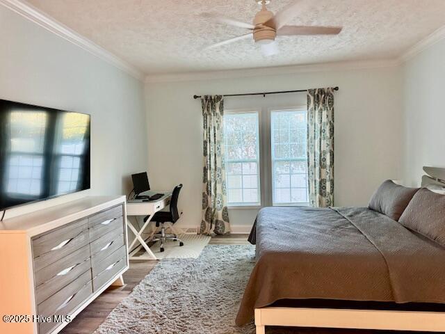 100545035 | Photo 50