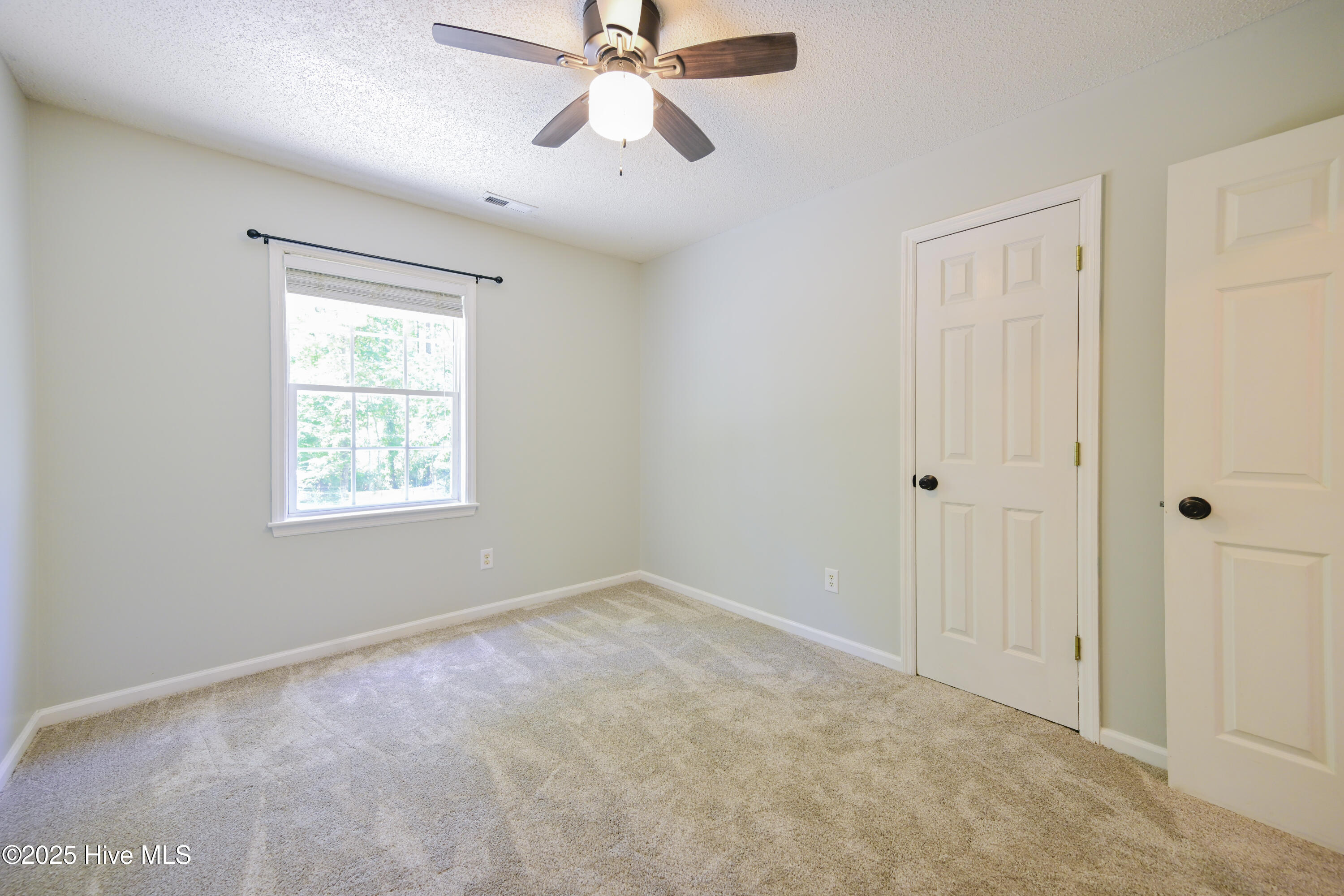 100523748 | Photo 45