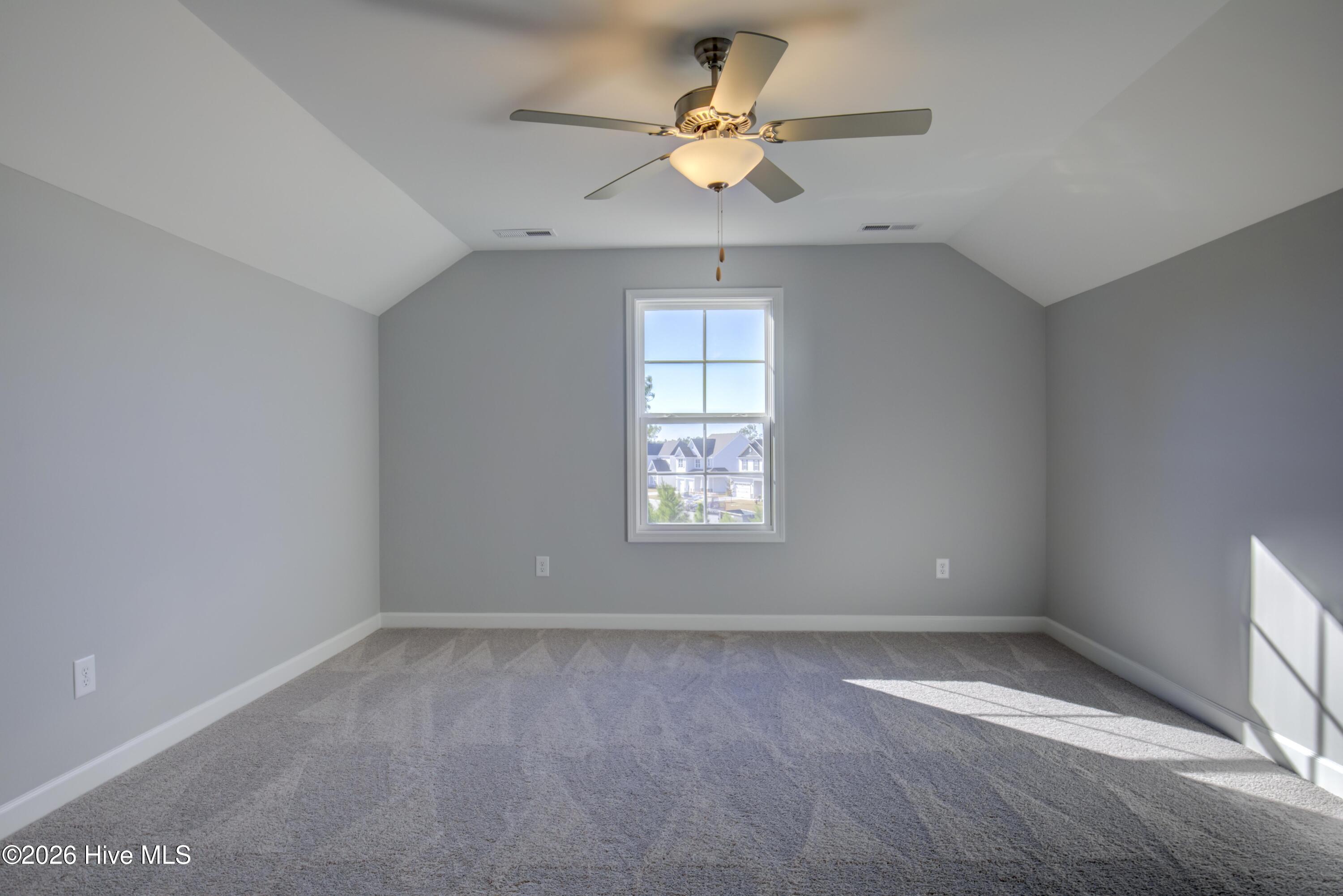 100563069 | Photo 15