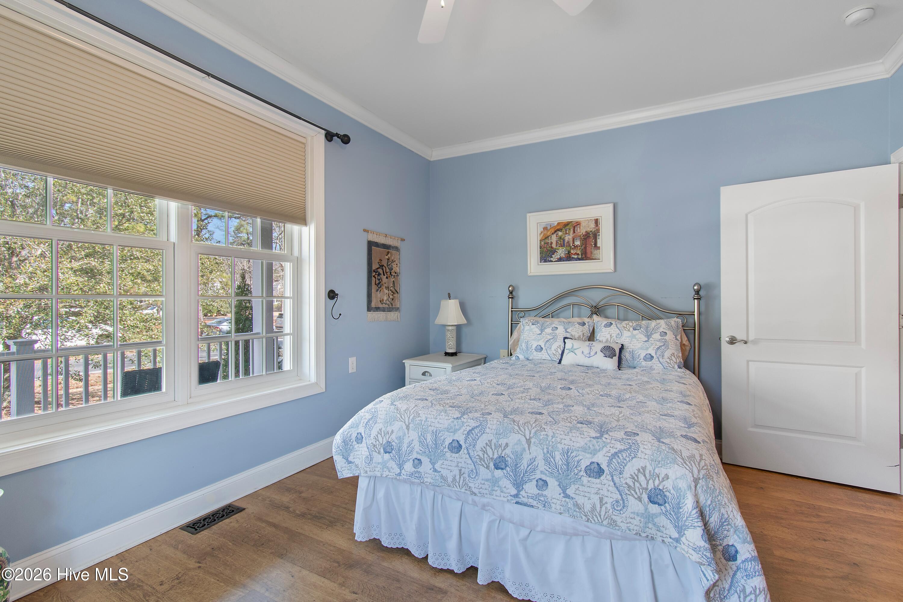 100556962 | Photo 43