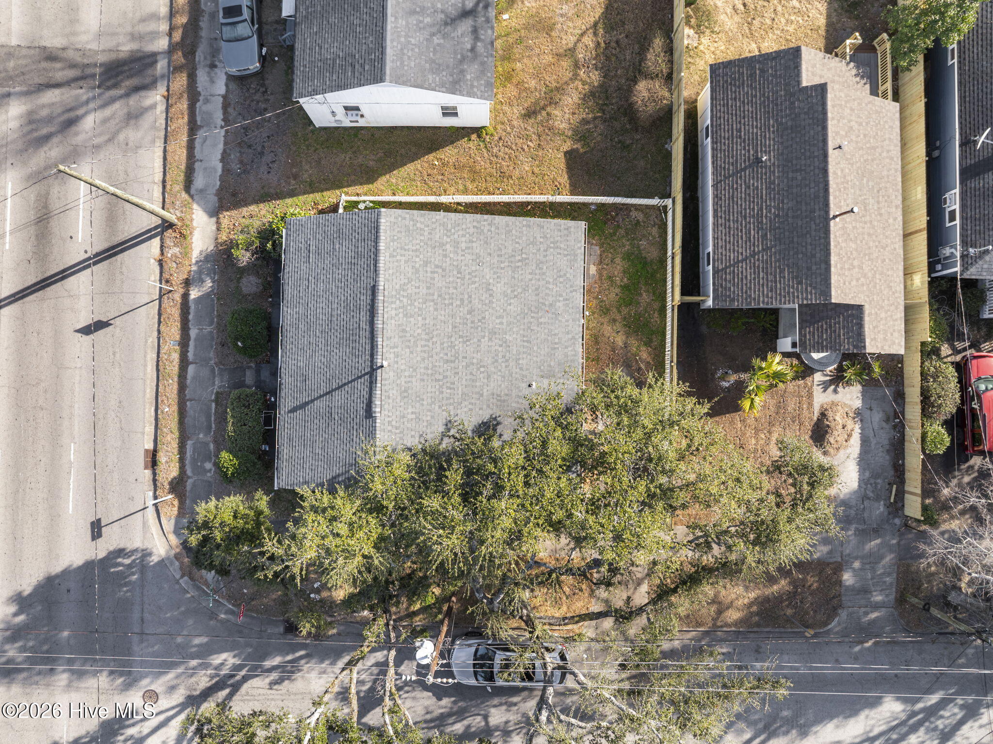 100550233 | Photo 39