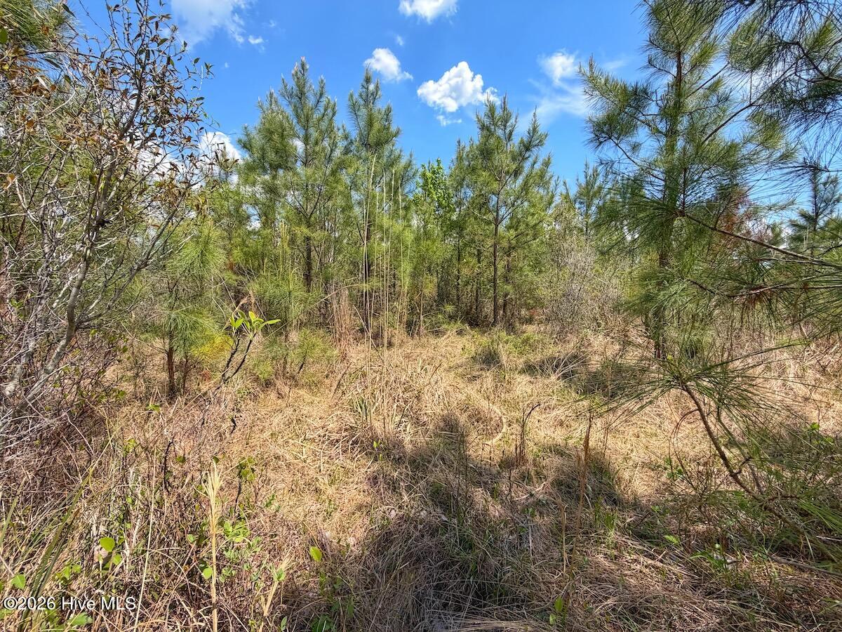 0 Guinea Mill Road, Ernul, NC, 28527