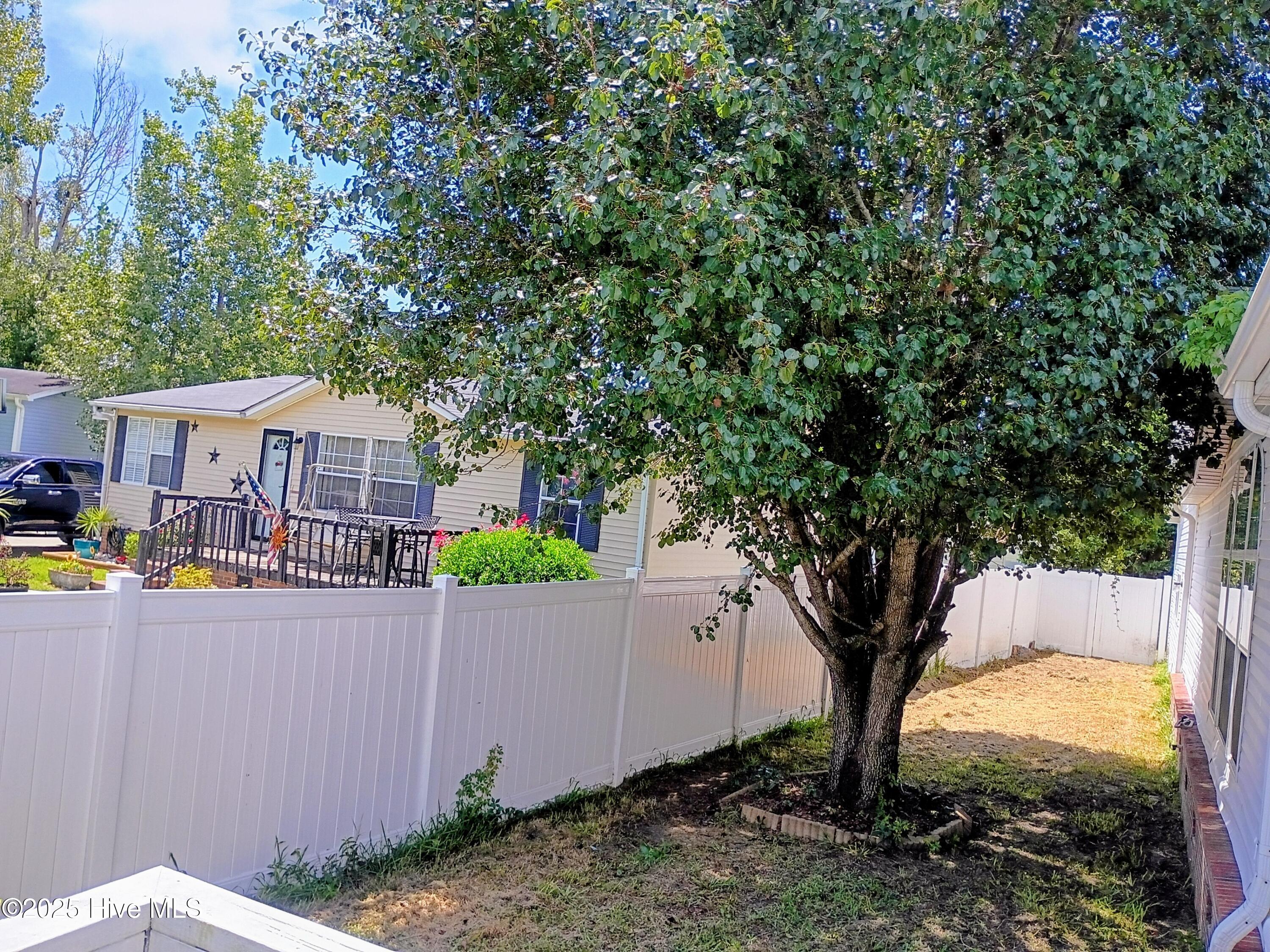 100519536 | Photo 25