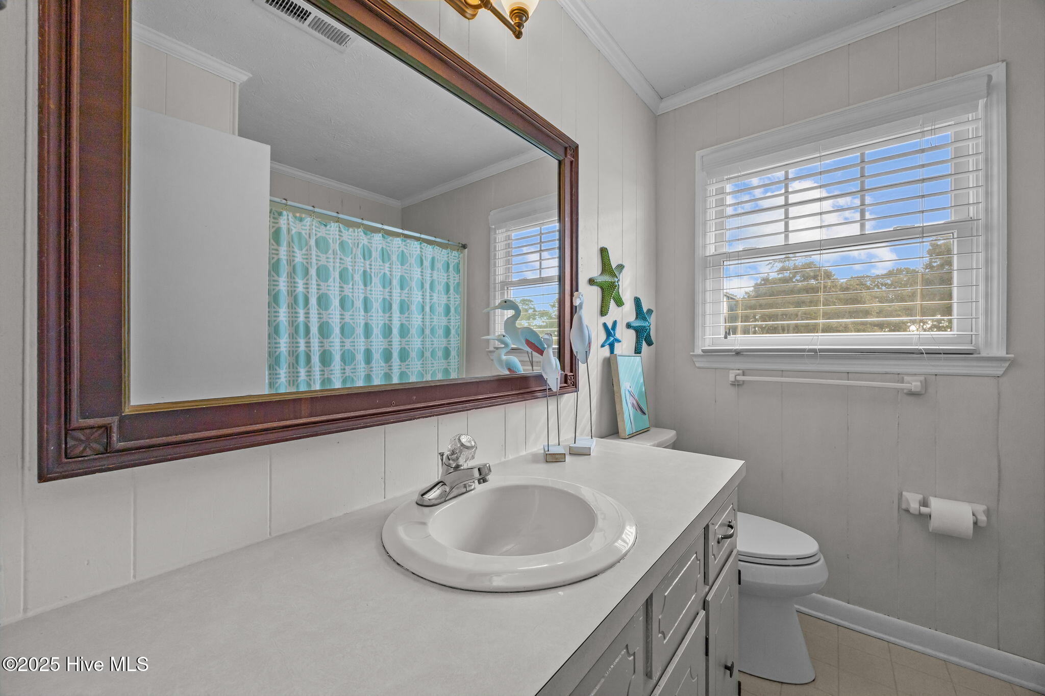 100543033 | Photo 20