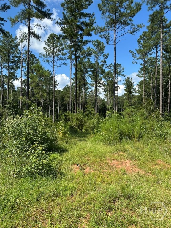 00 Fears, Madison, GA, 30650