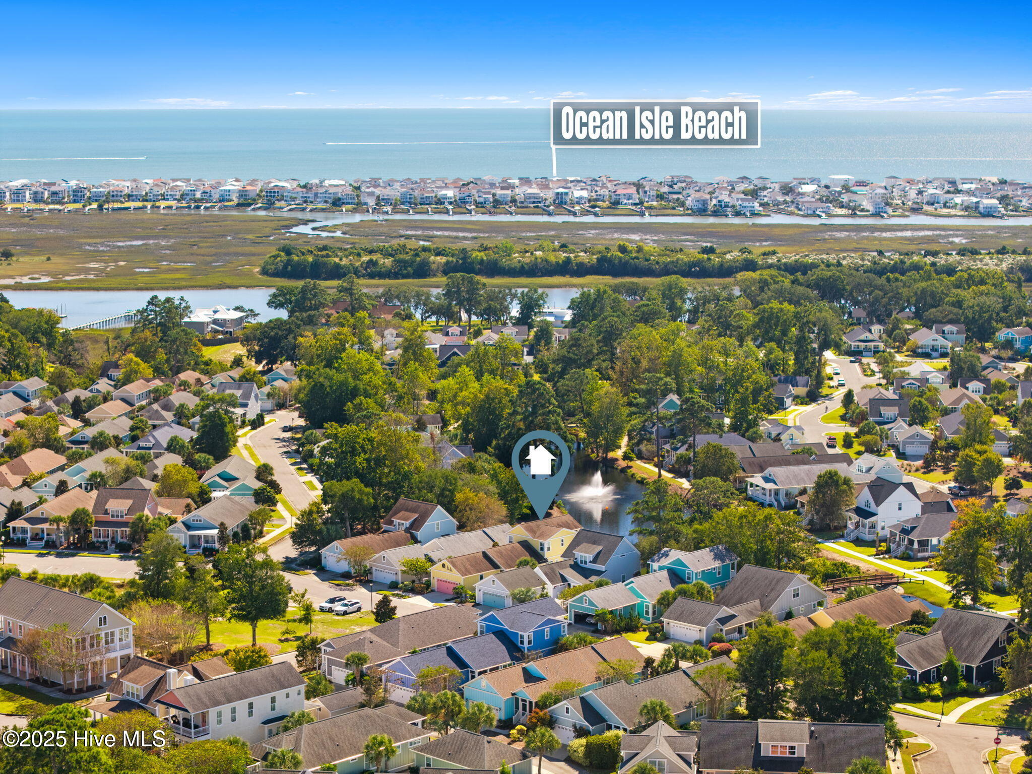 100536977 | Photo 63