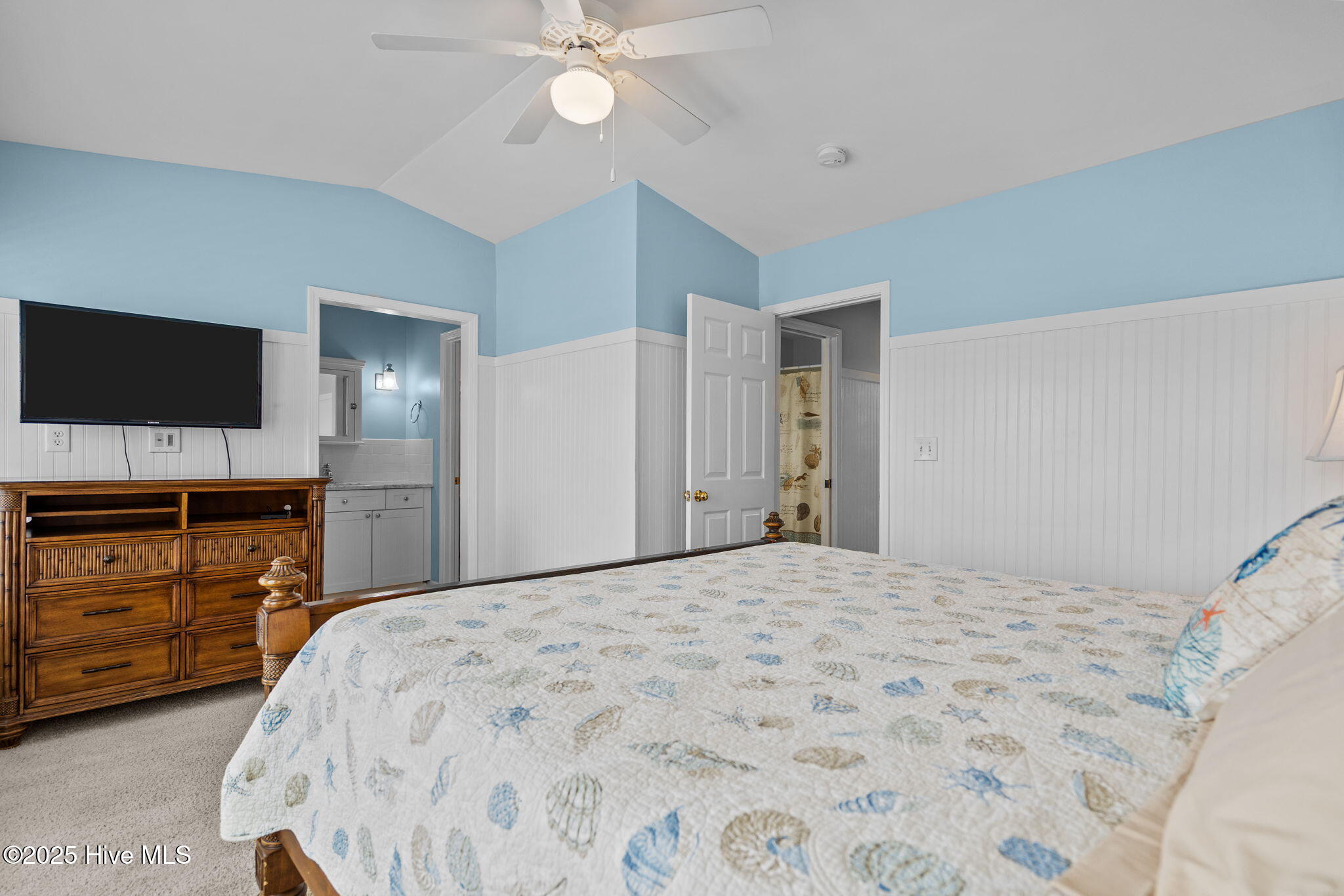 100531131 | Photo 30