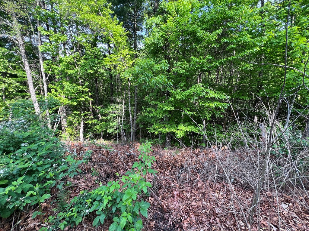 Exterior photo of Lot 1 Weece Mountain, Murphy, NC 28906. MLS: 98544003