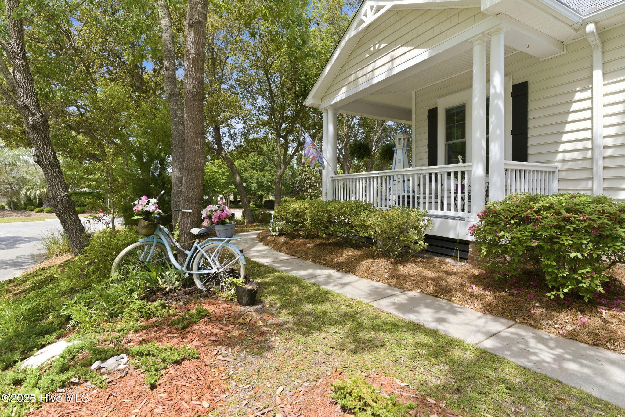 100569459 | Photo 39