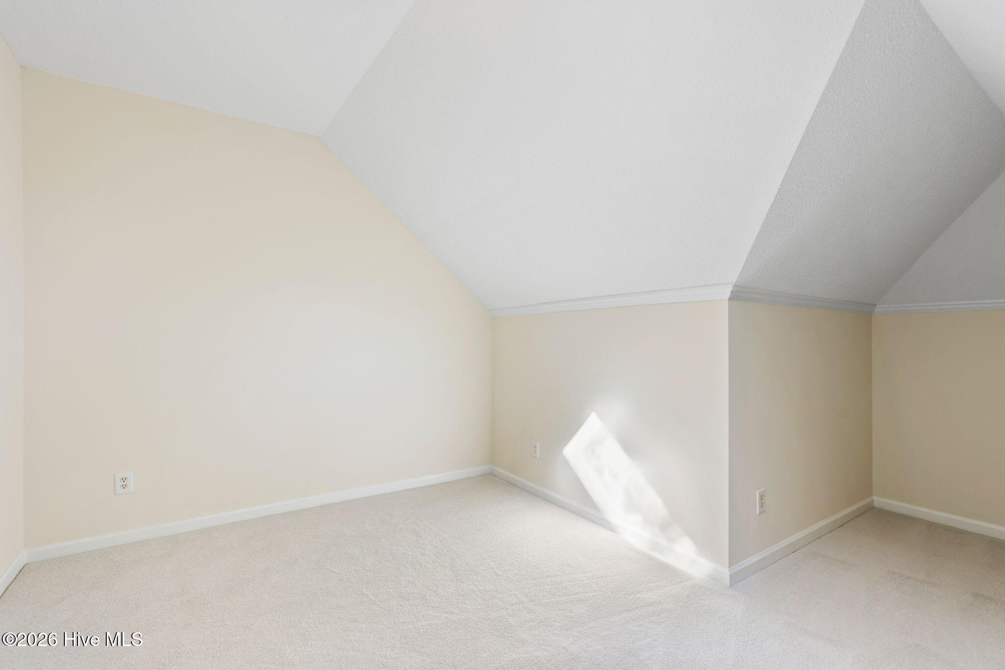 100558031 | Photo 35