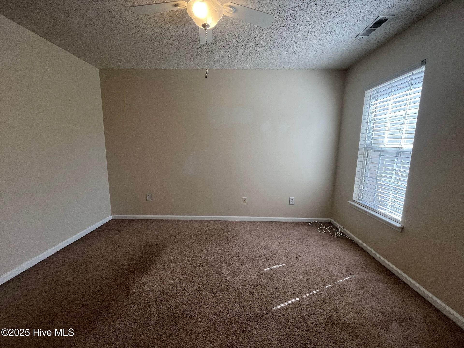 100569102 | Photo 29