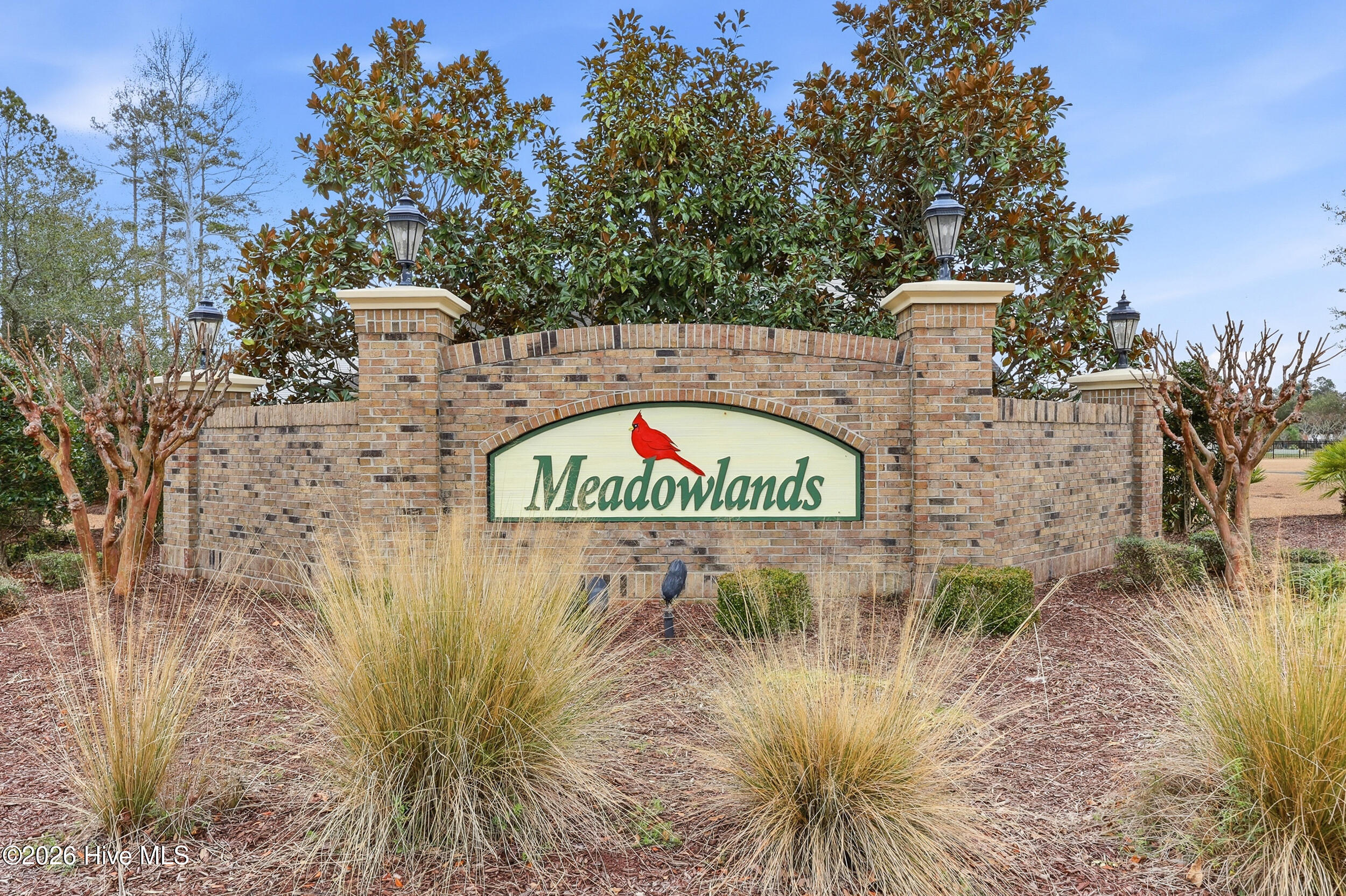 100555932 | Photo 47