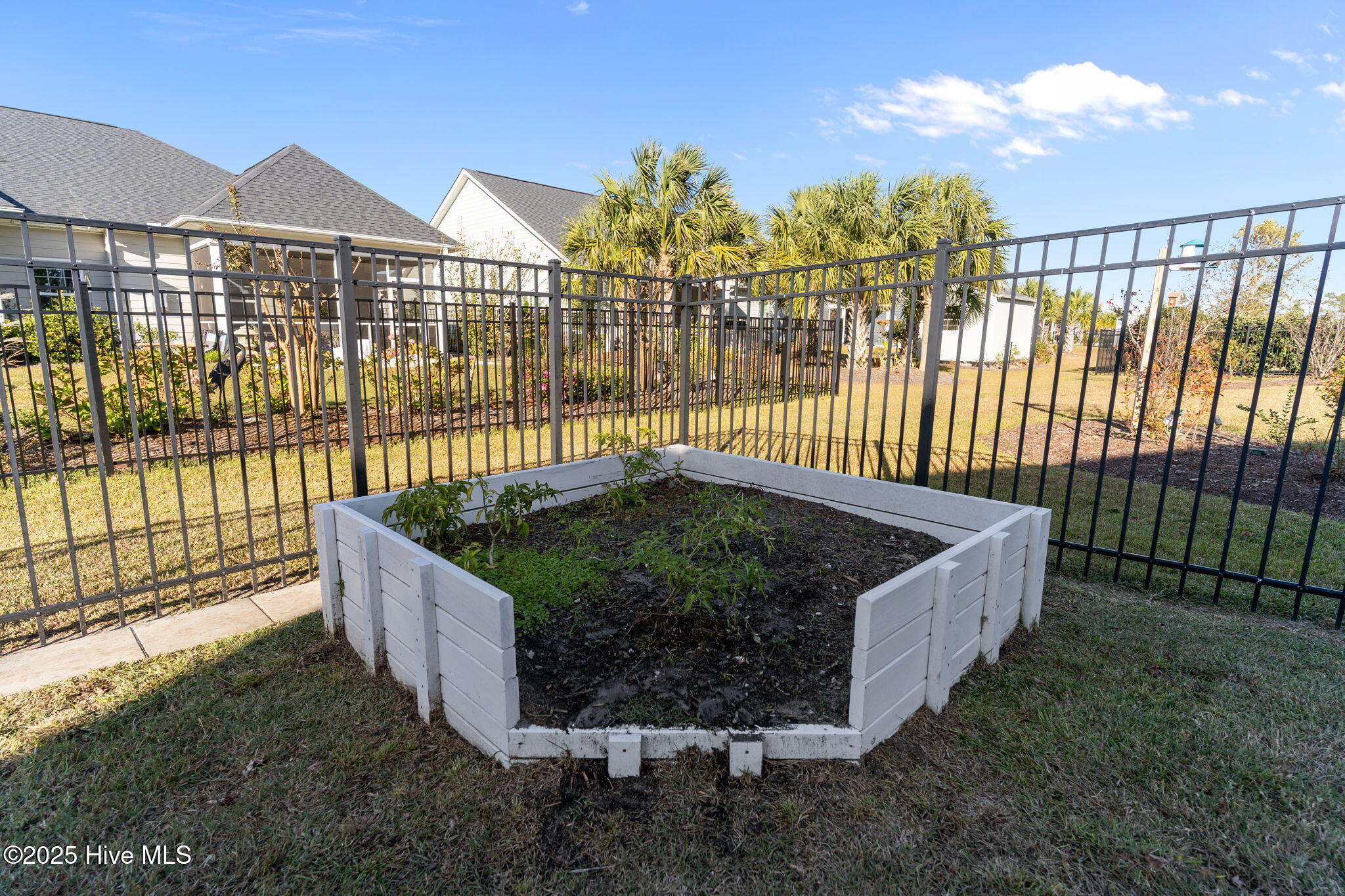 100542134 | Photo 54