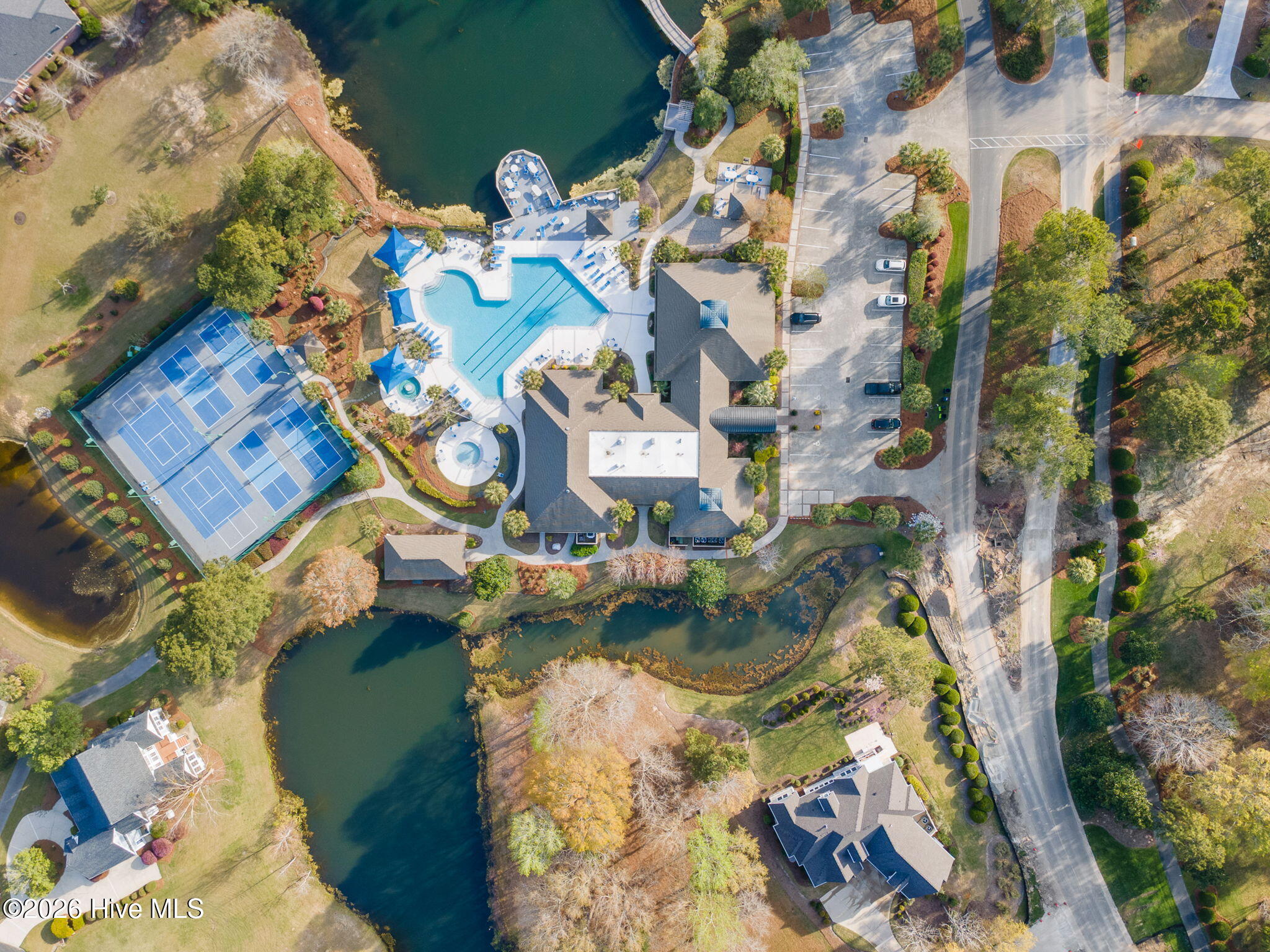 100563065 | Photo 18