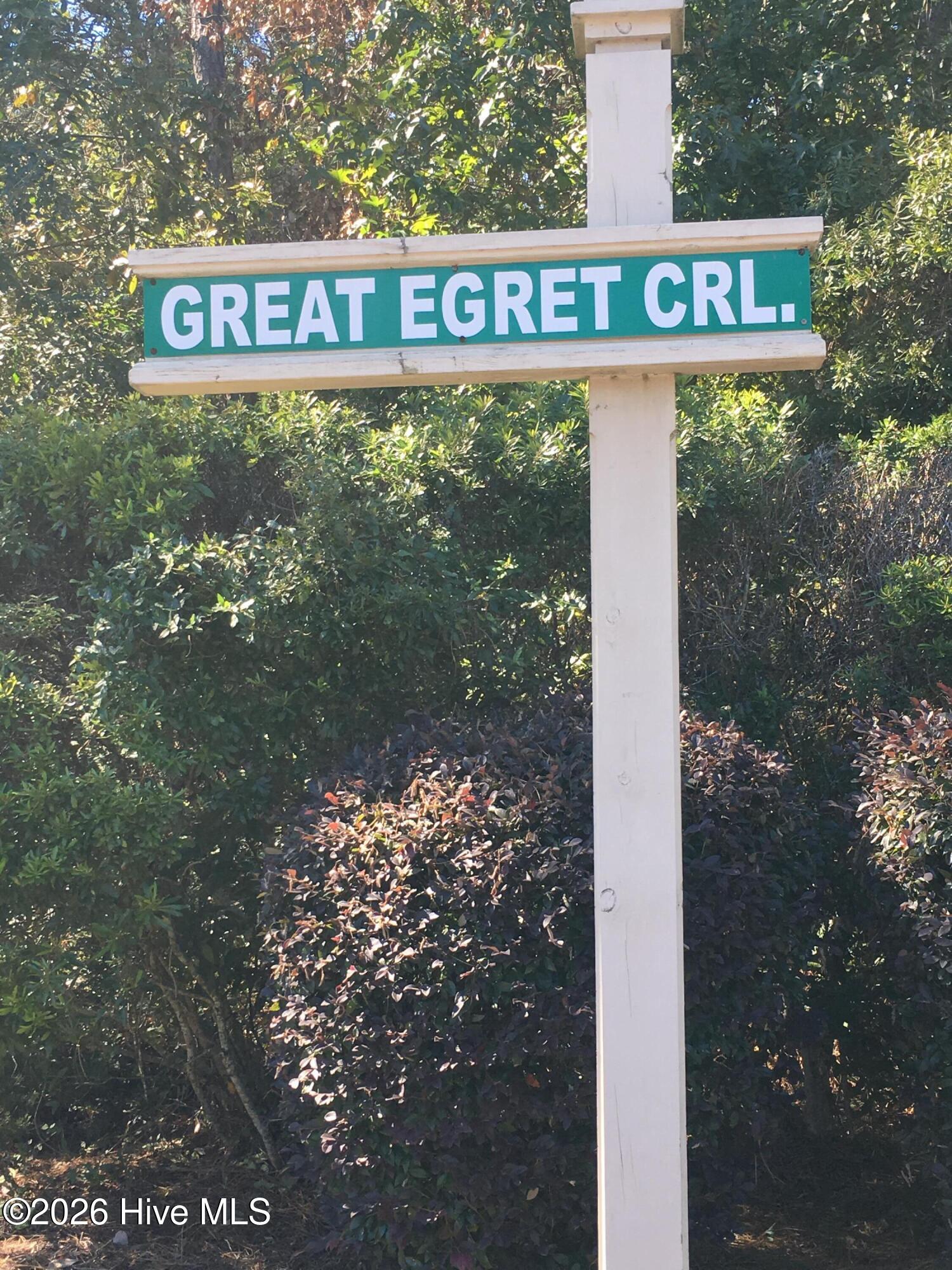 100567437 | Photo 38