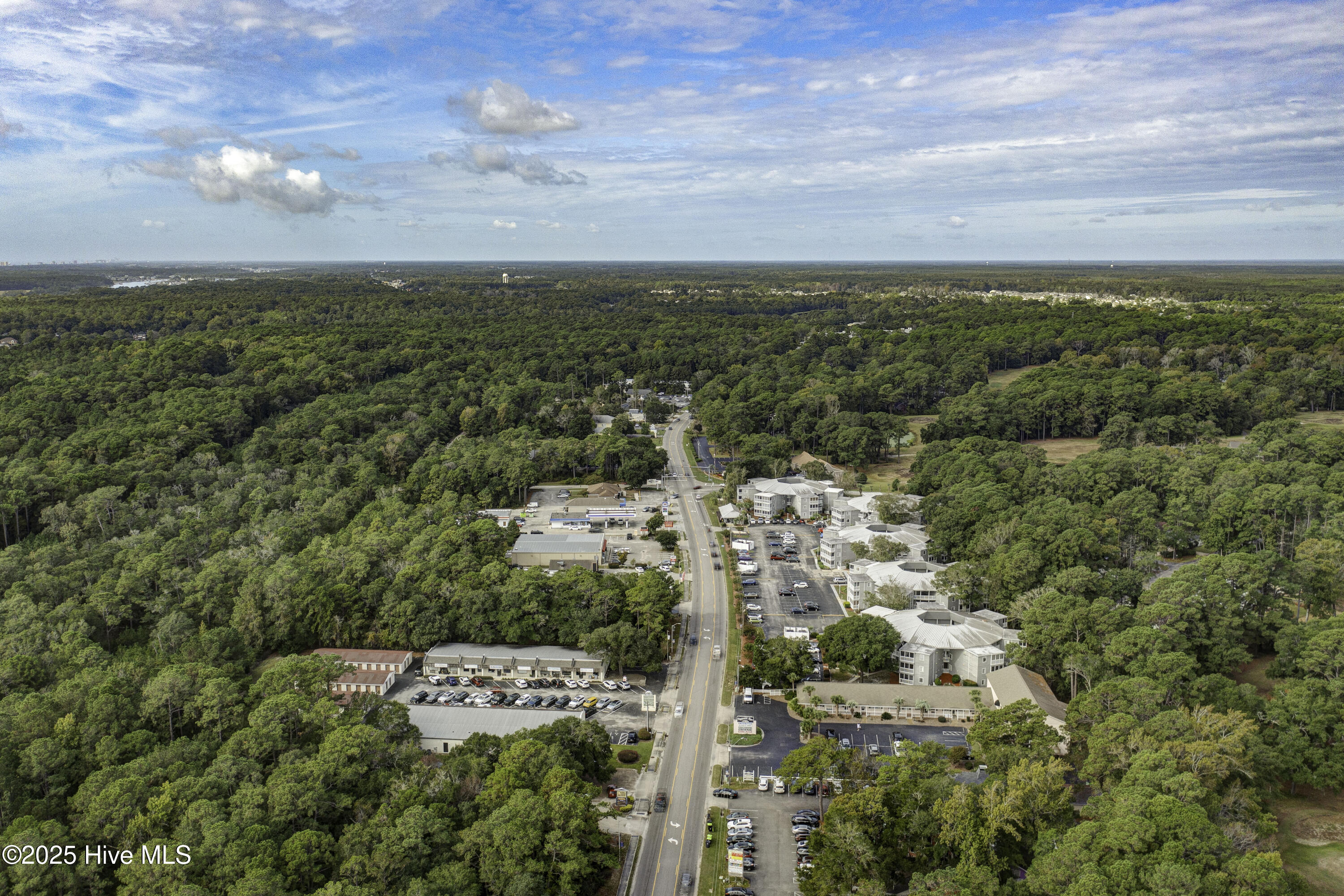 100535868 | Photo 34