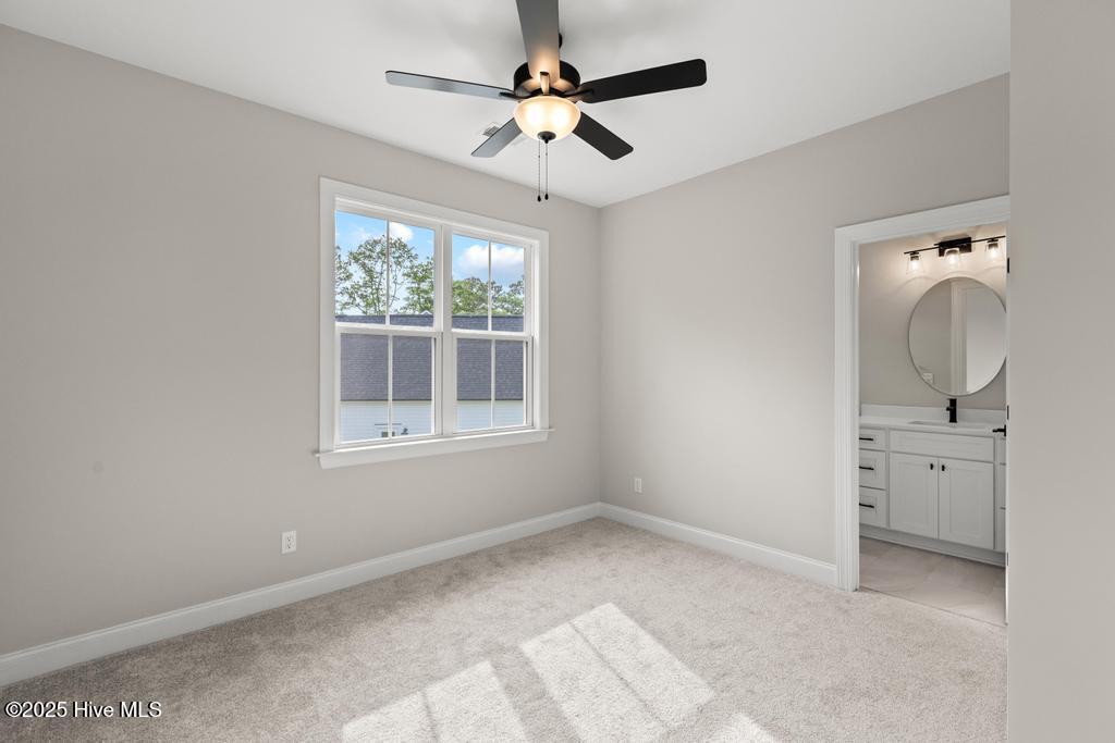 100535859 | Photo 26