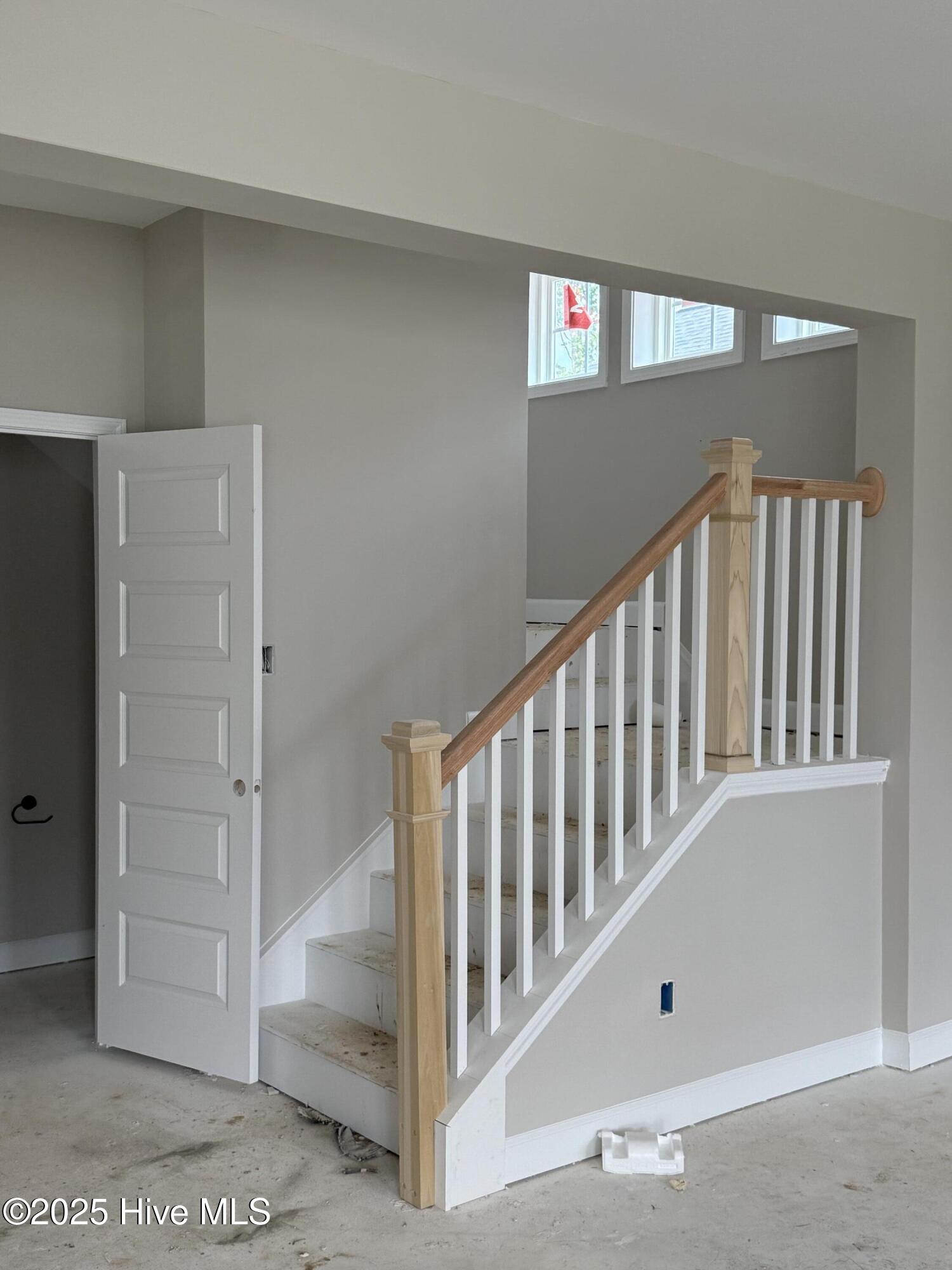 100527182 | Photo 11