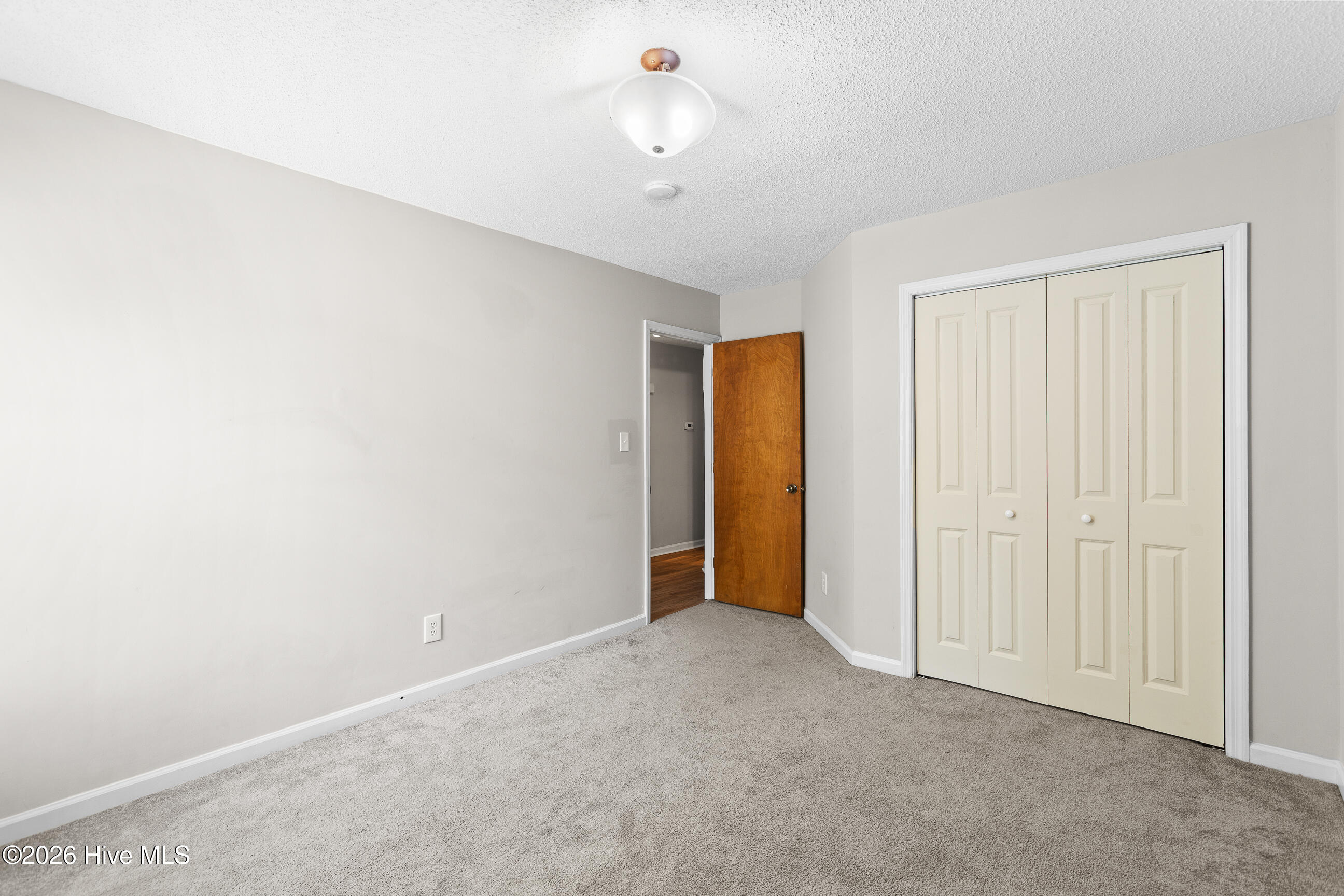 100565392 | Photo 19