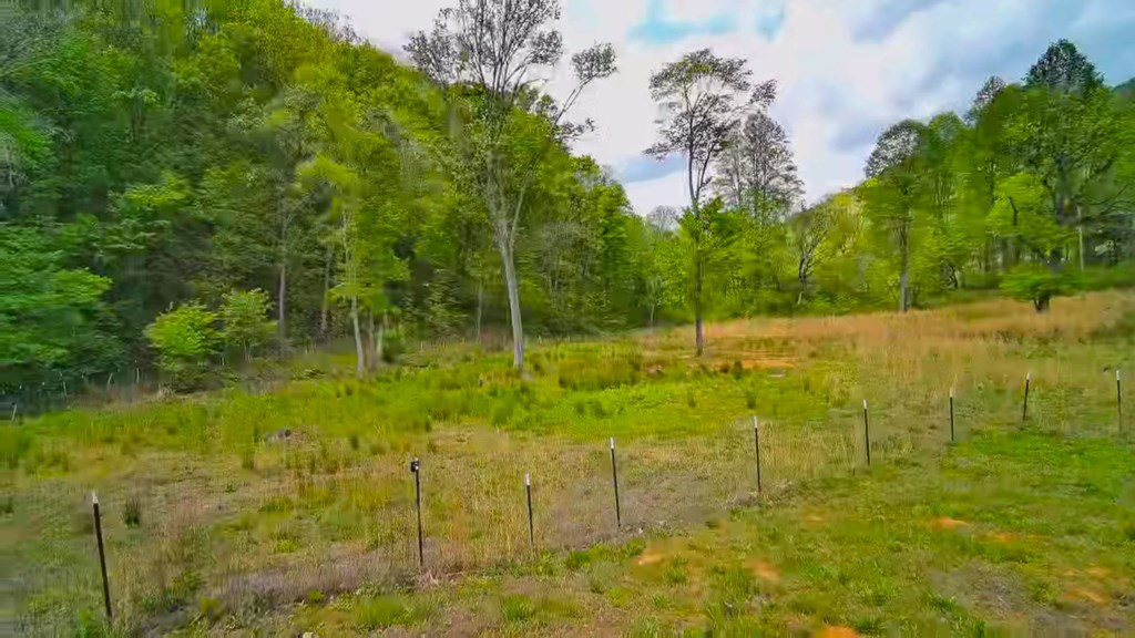 3325 Pack Mountain Road, Murphy, NC 28906 Listing Photo  60