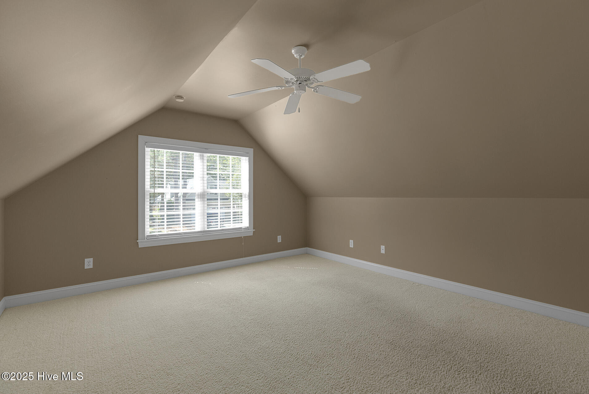 100558223 | Photo 39