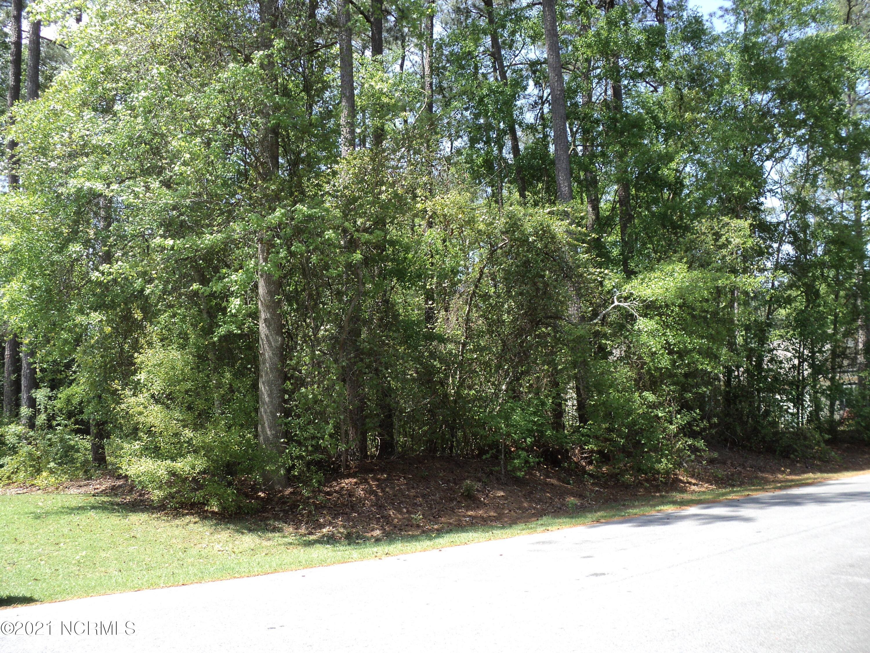Lot 53 W Fairway Drive, Washington, NC, 27889