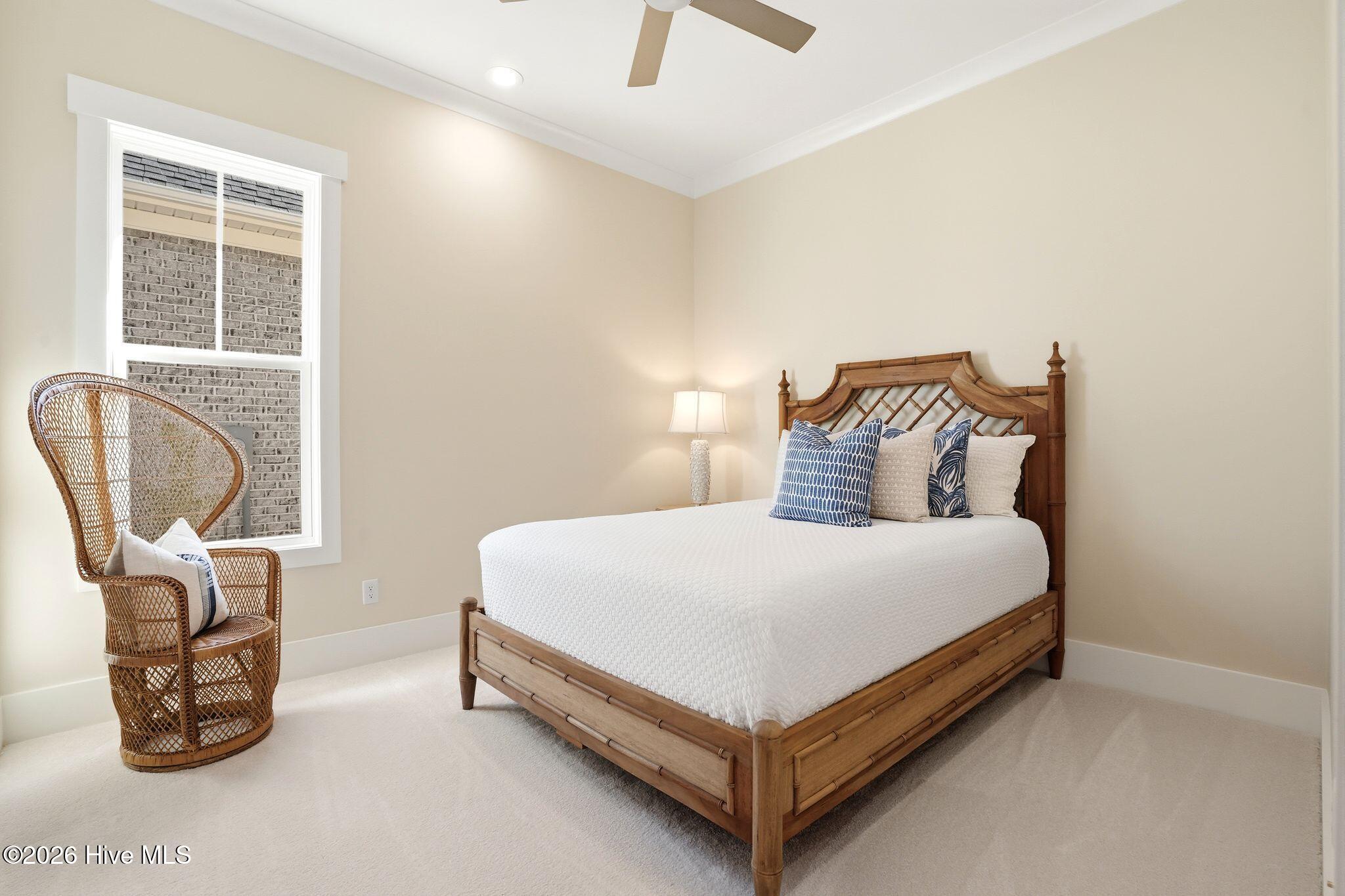 100537171 | Photo 71