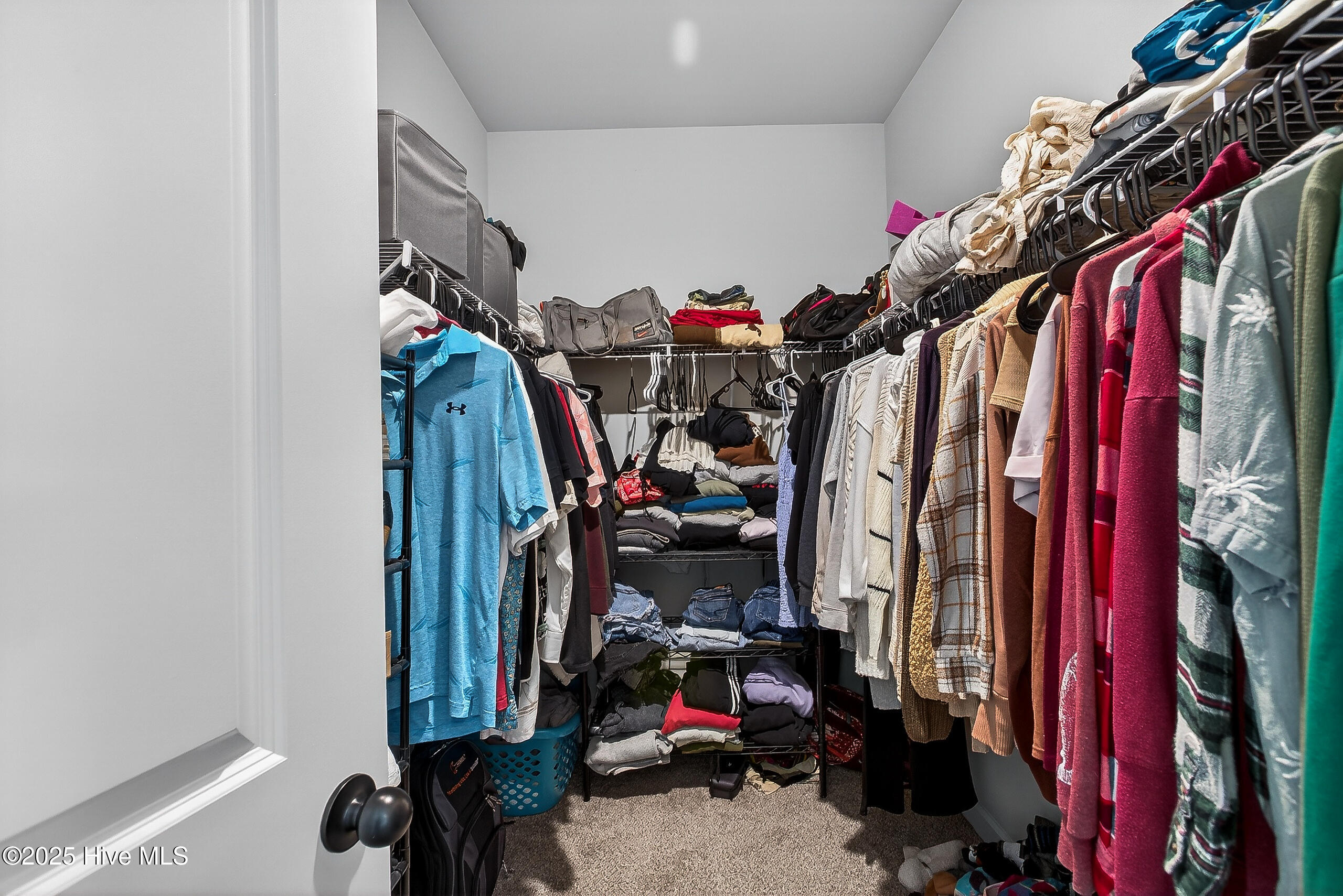 100543581 | Photo 20