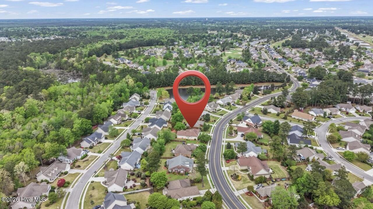 100554989 | Photo 70