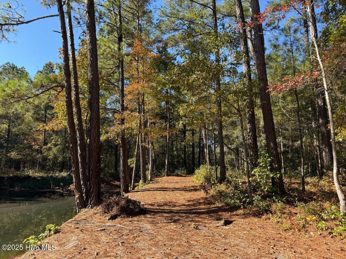 100540348 | Photo 36