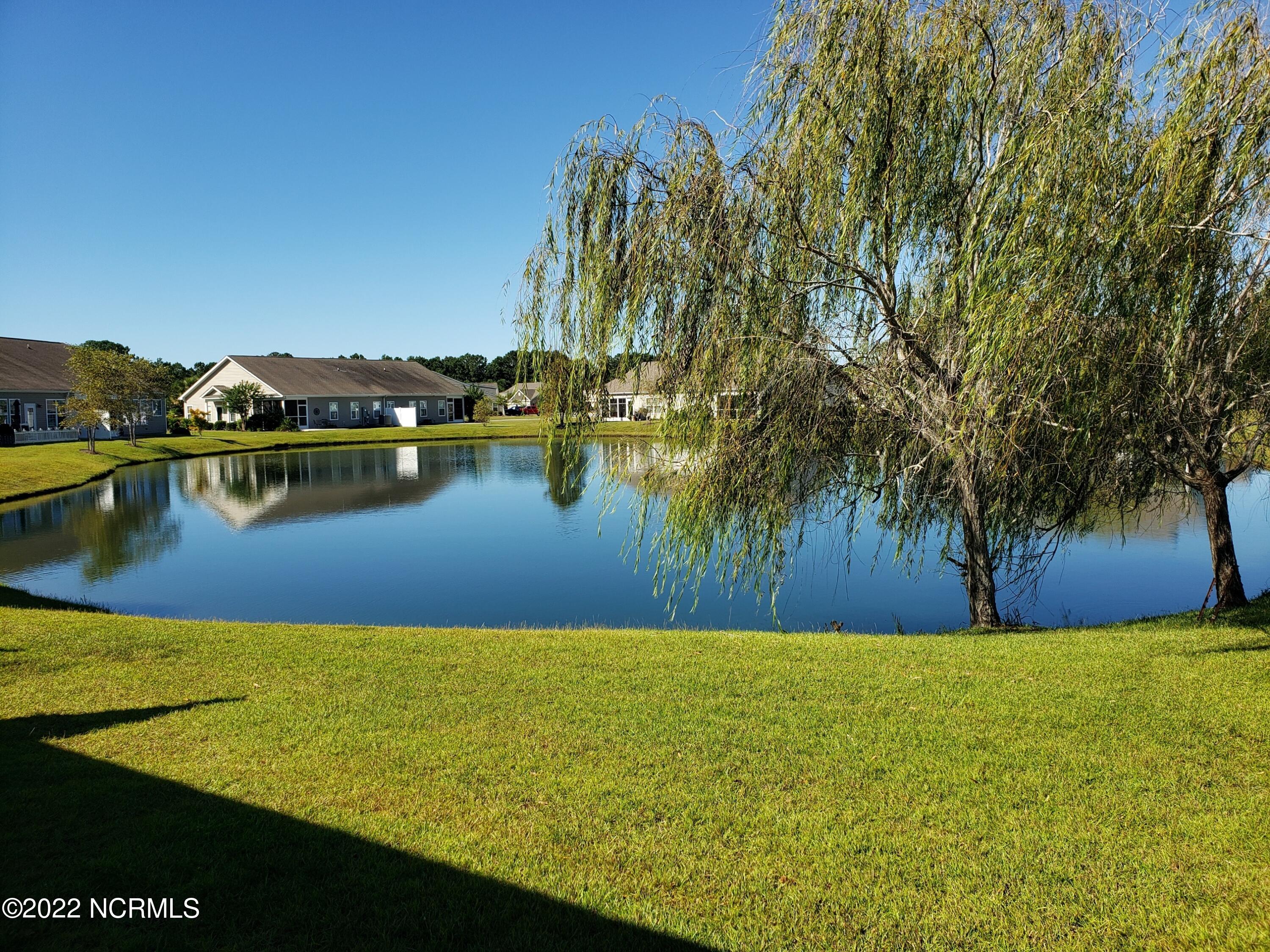 100555618 | Photo 10