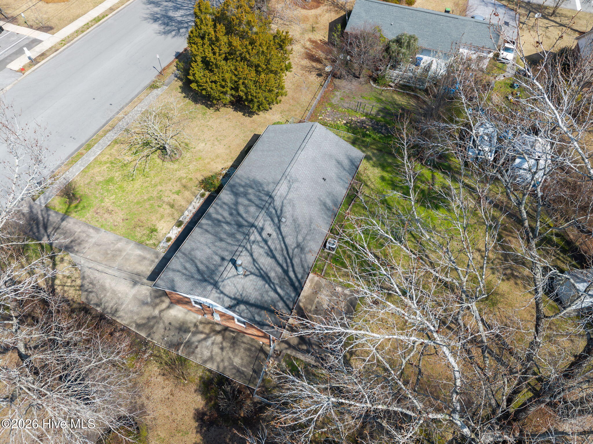 100558216 | Photo 43